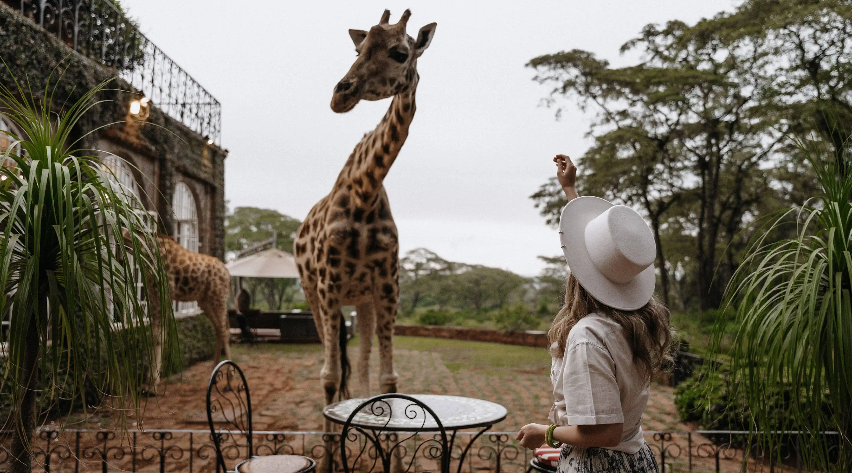 Путешествие в Кению