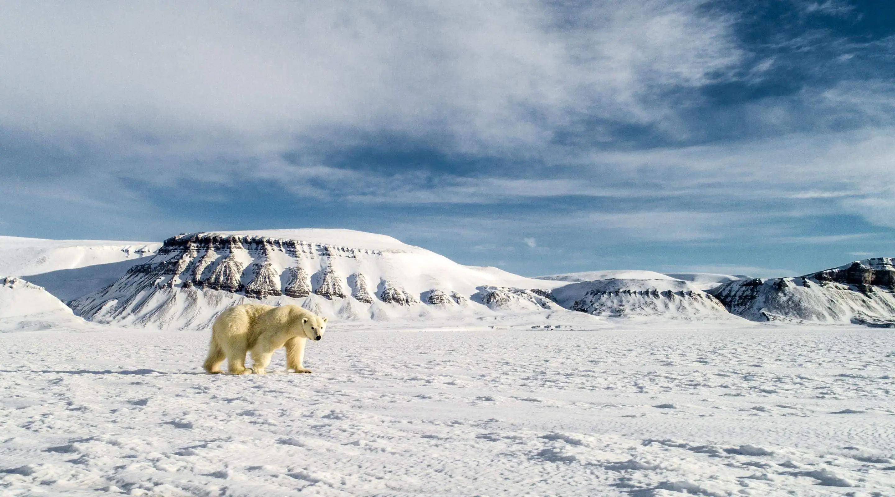 Экспедиция в Арктику