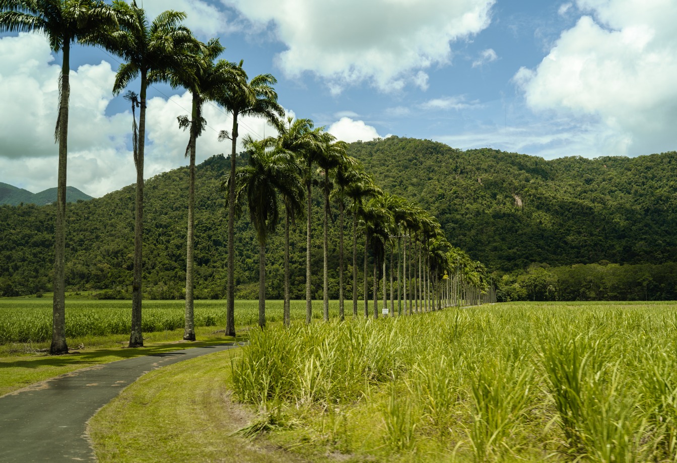 Австралия: Краткий путеводитель по туризму