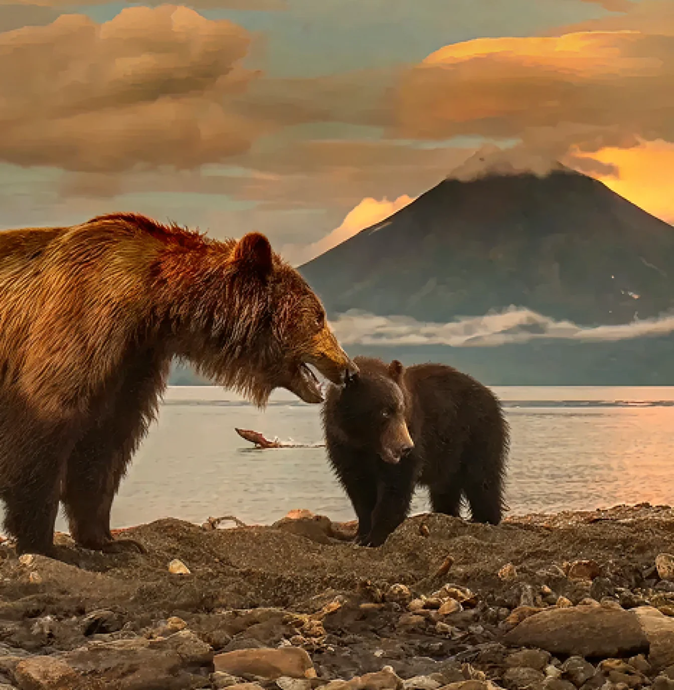 Камчатка VIP