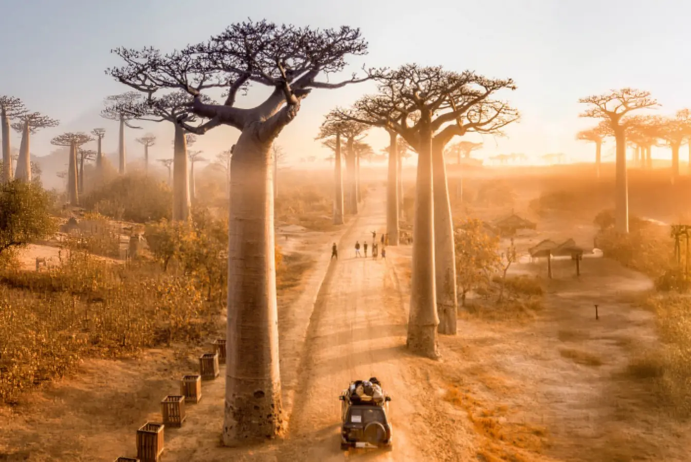 Путешествие на Мадагаскар