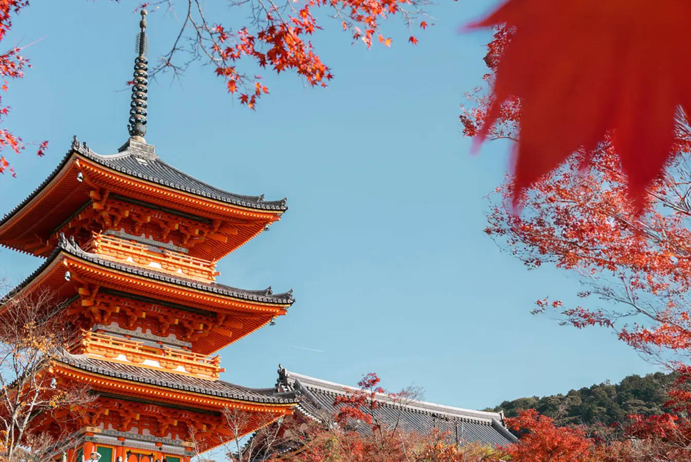 Путешествие в Японию 