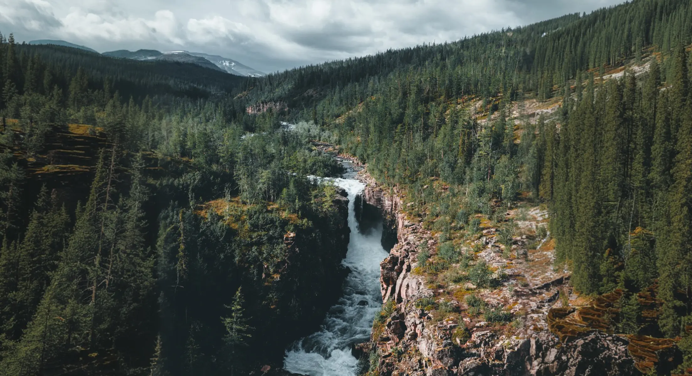 Погружение в северную тайгу, жизнь вдали от цивилизации