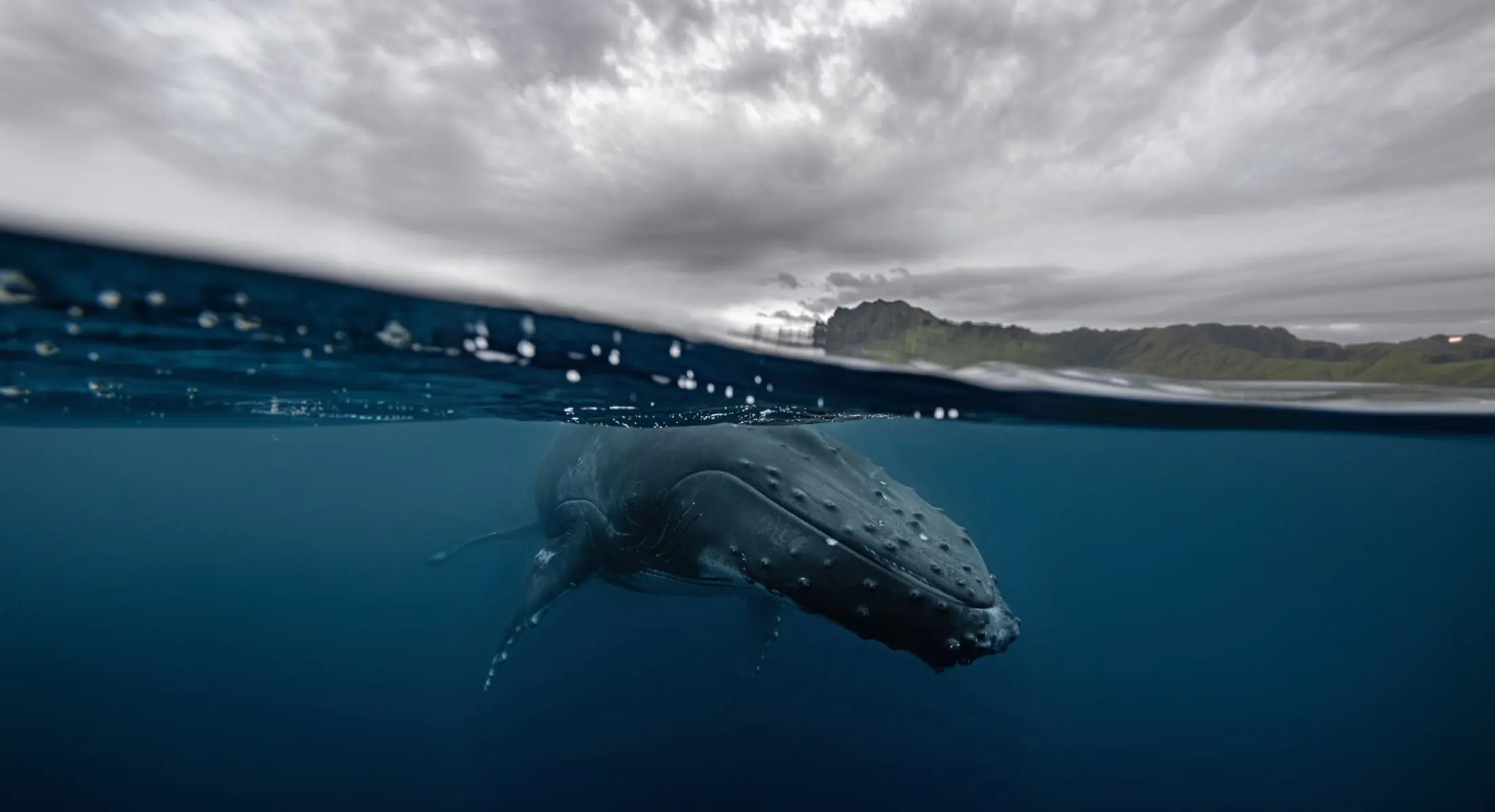 Баренцево море