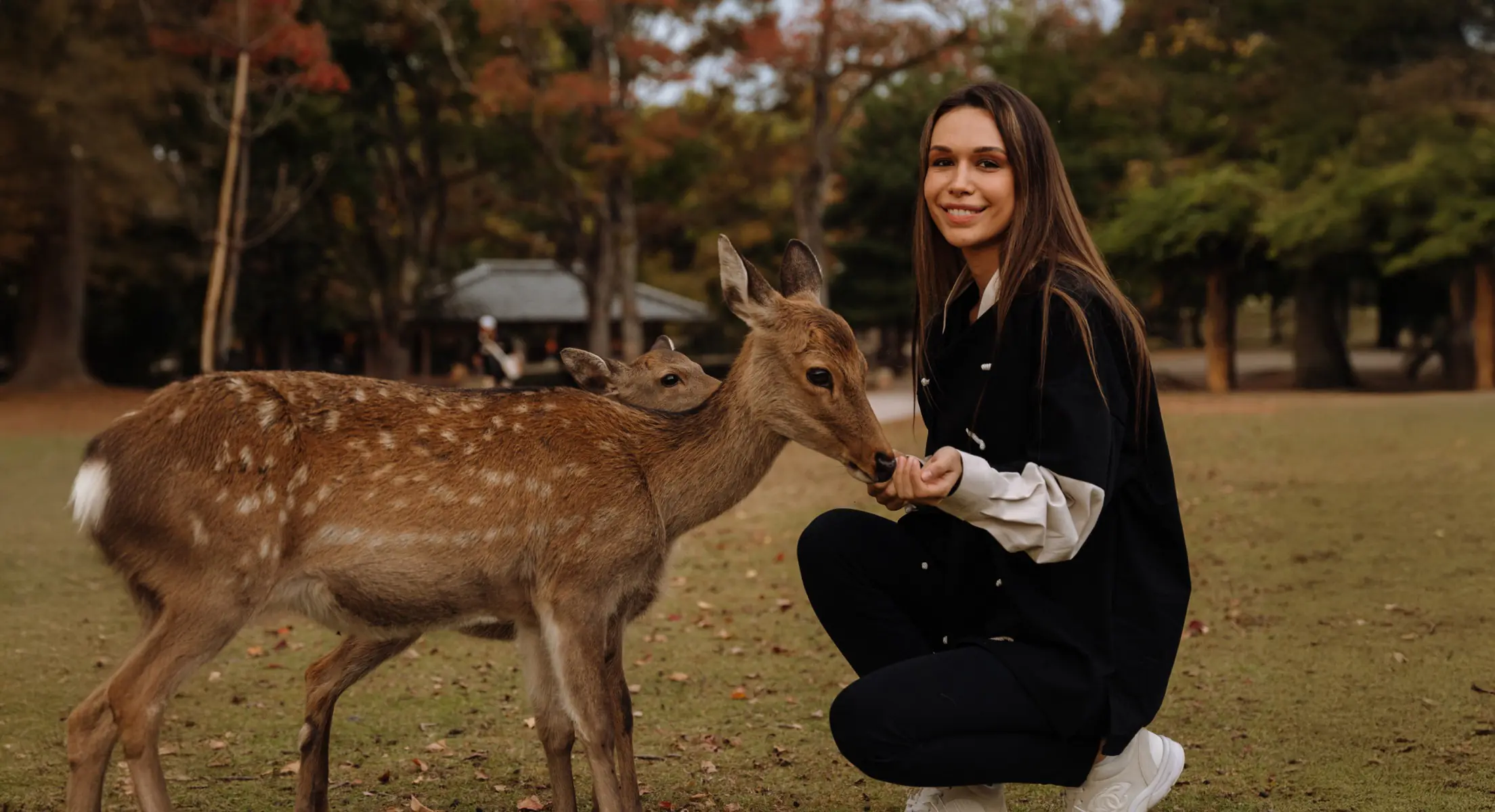 Город оленей
