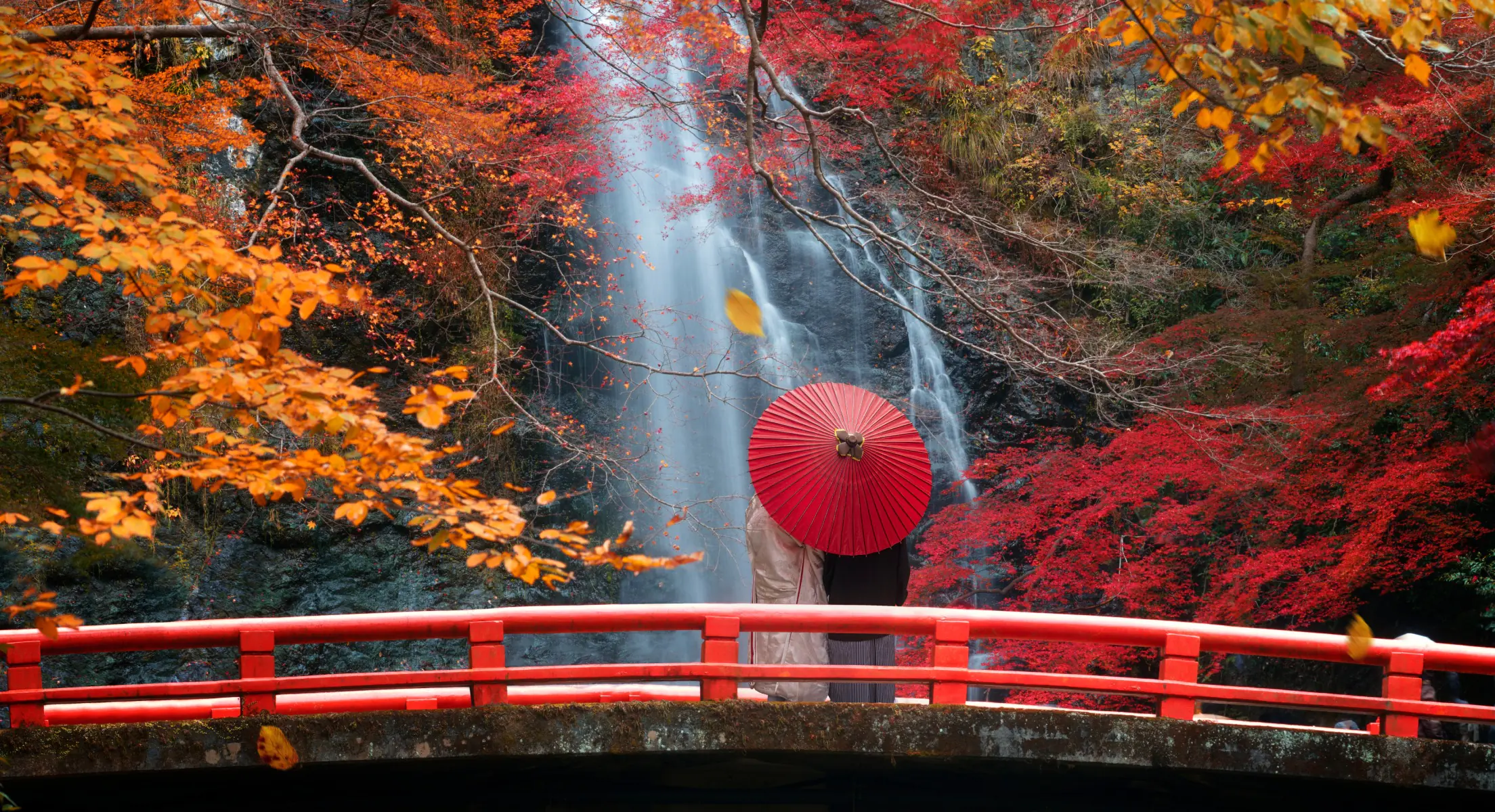 Красные клены