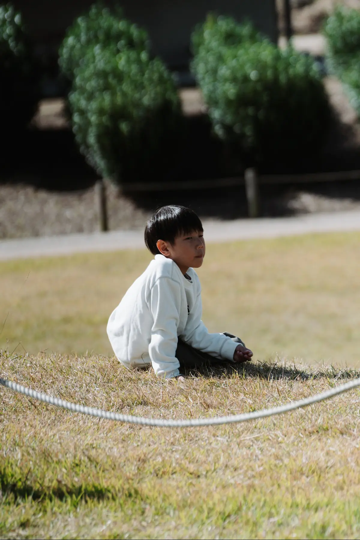 Путешествие в Японию . фото 3