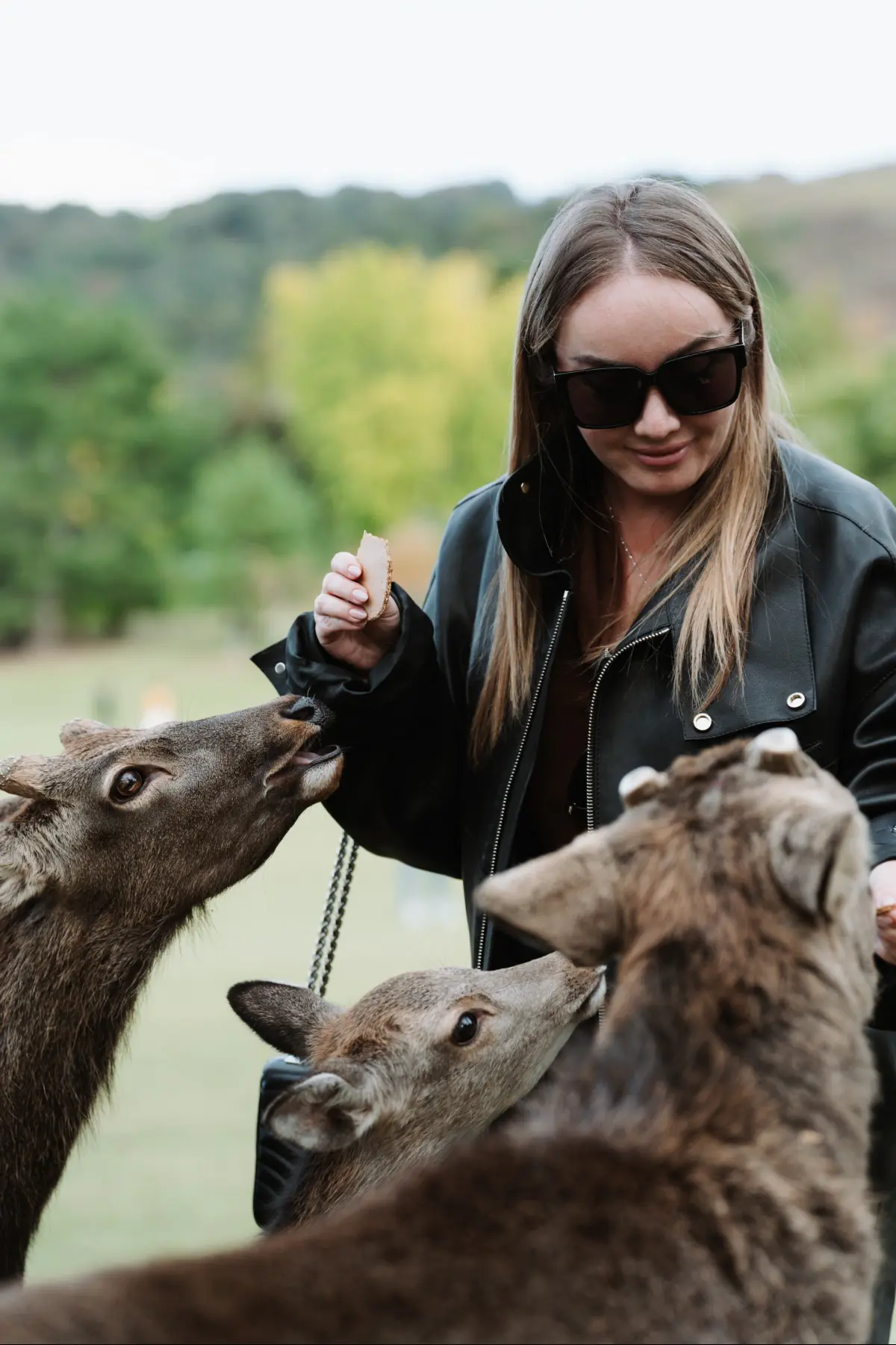 Путешествие в Японию . фото 6