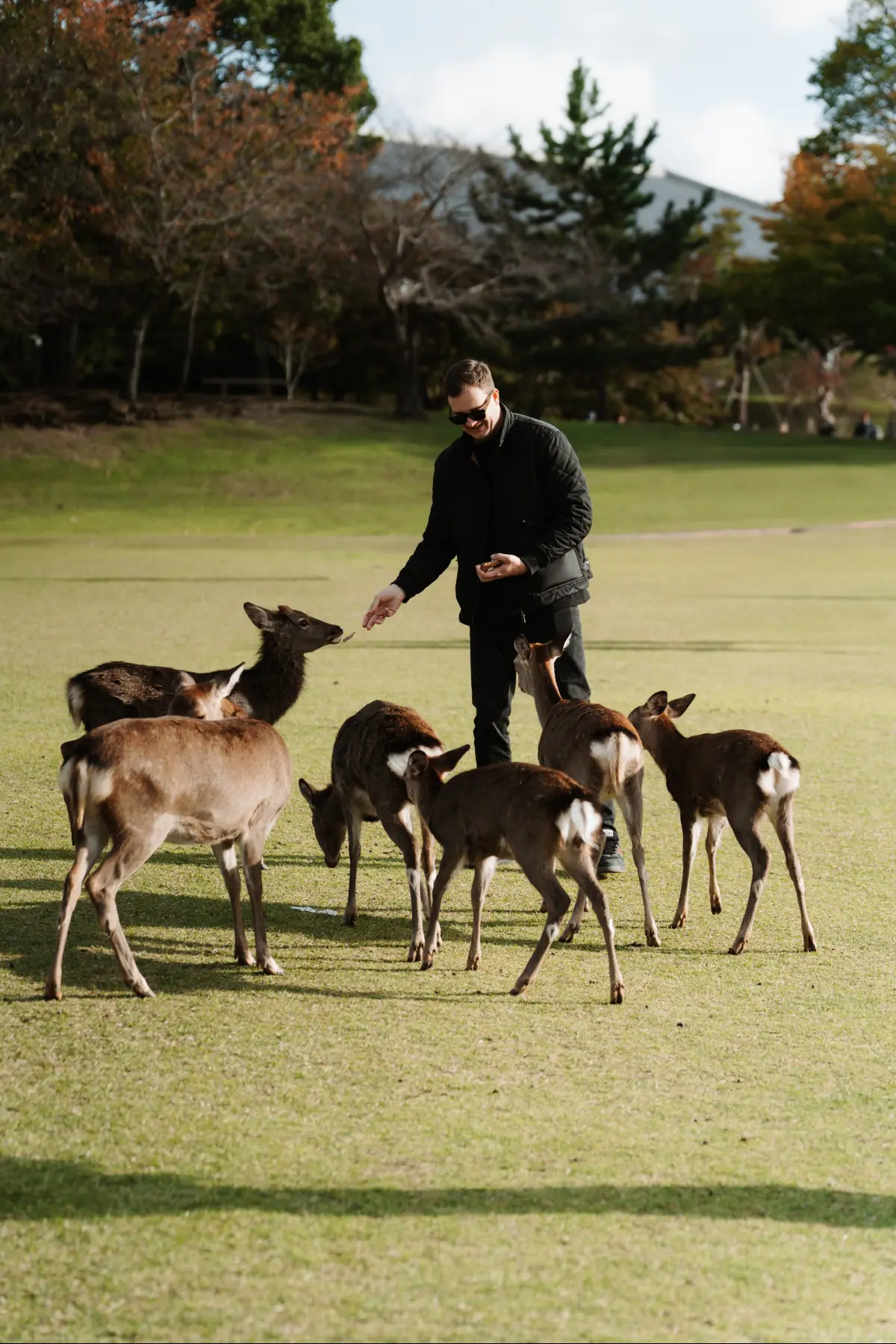Путешествие в Японию . фото 11