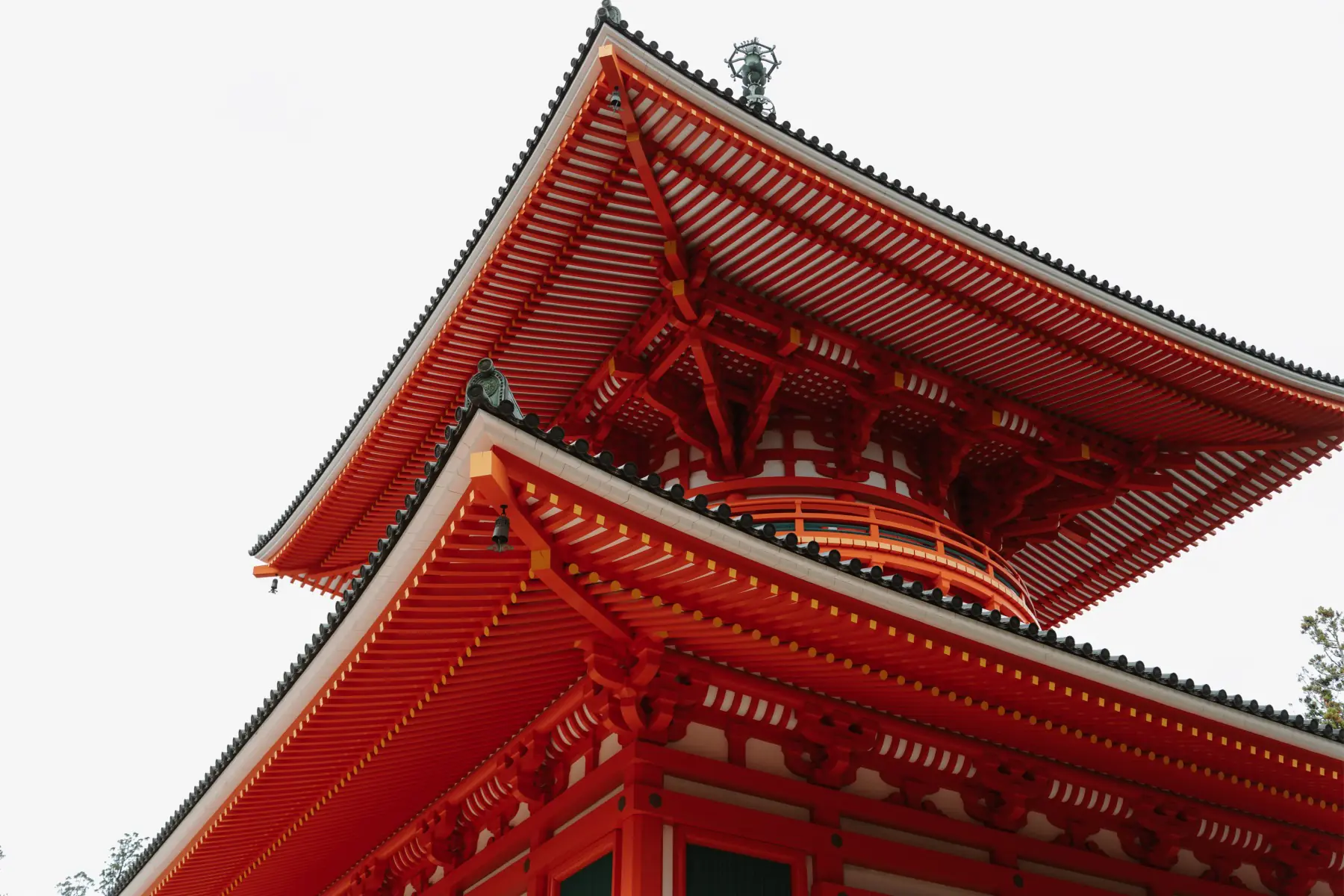 Путешествие в Японию . фото 38