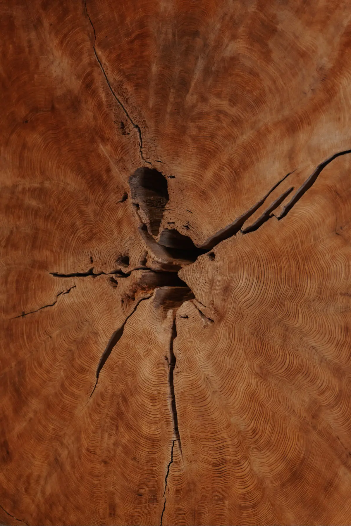 Путешествие в Японию . фото 48