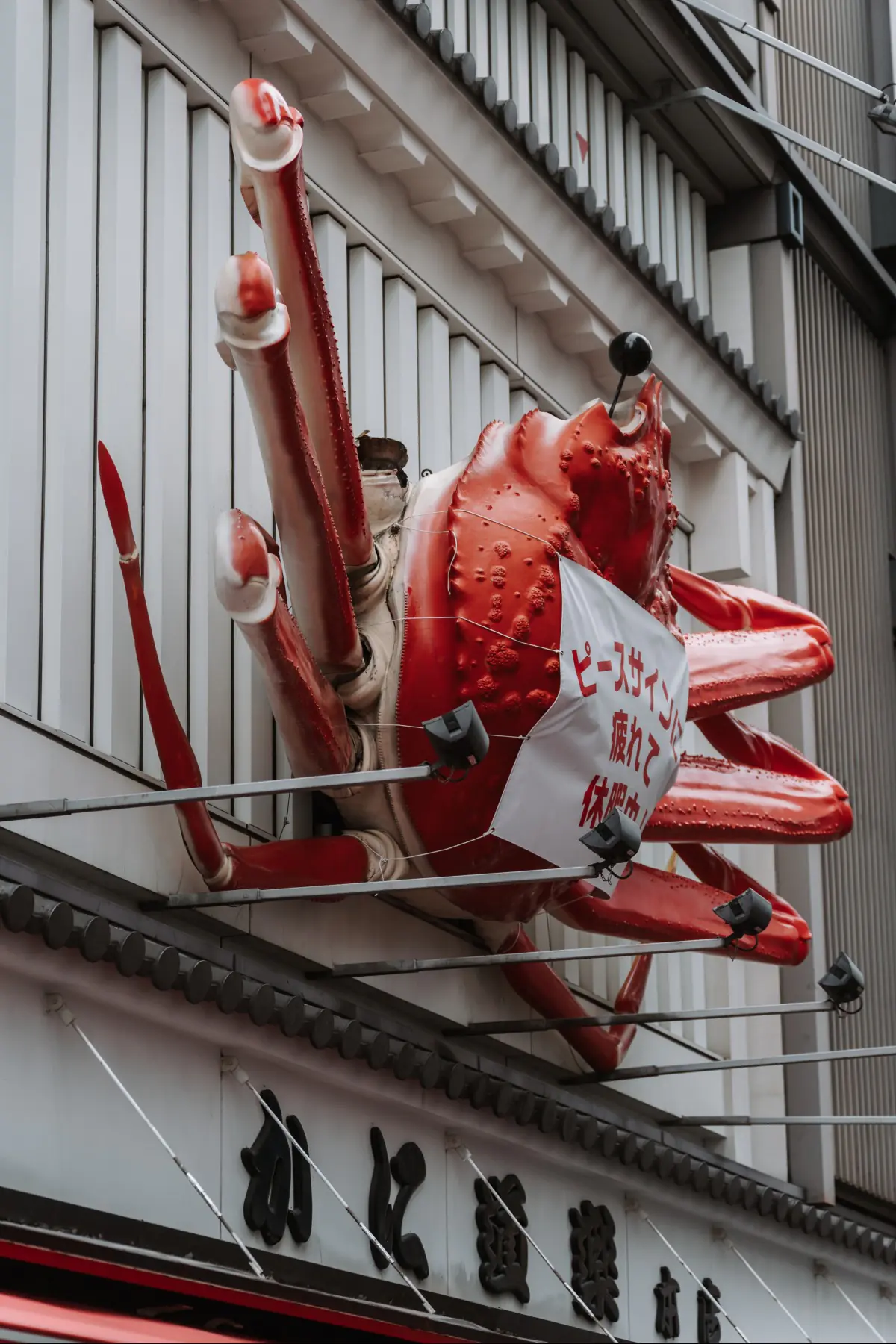 Путешествие в Японию . фото 71