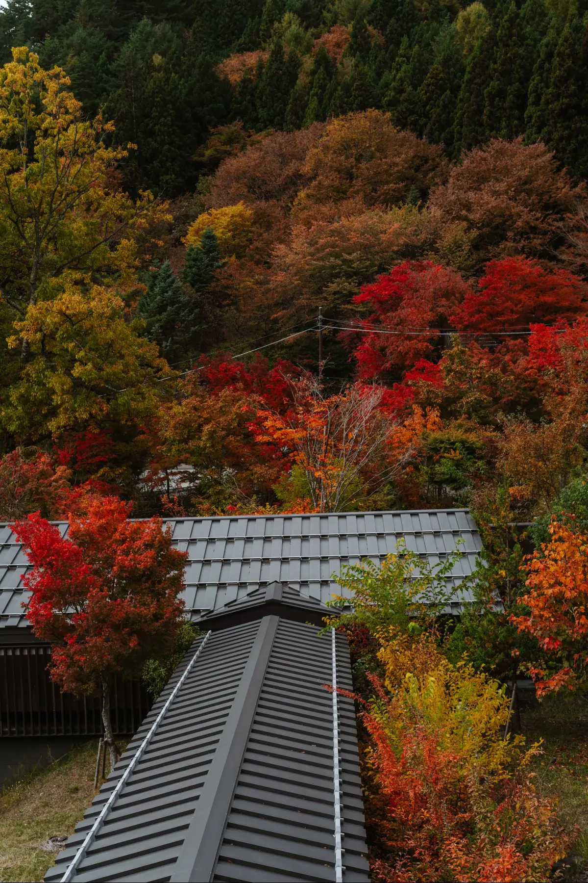 Путешествие в Японию . фото 119