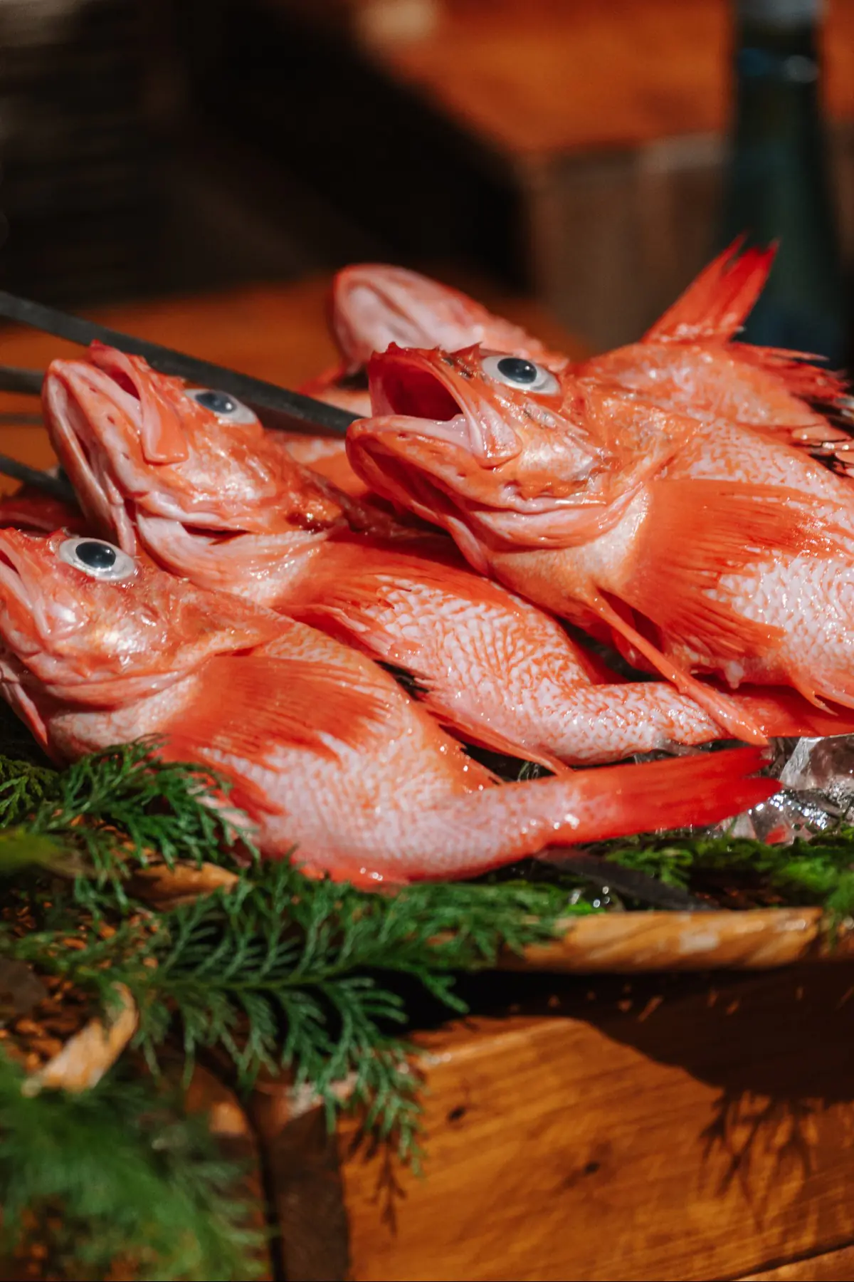 Путешествие в Японию . фото 143