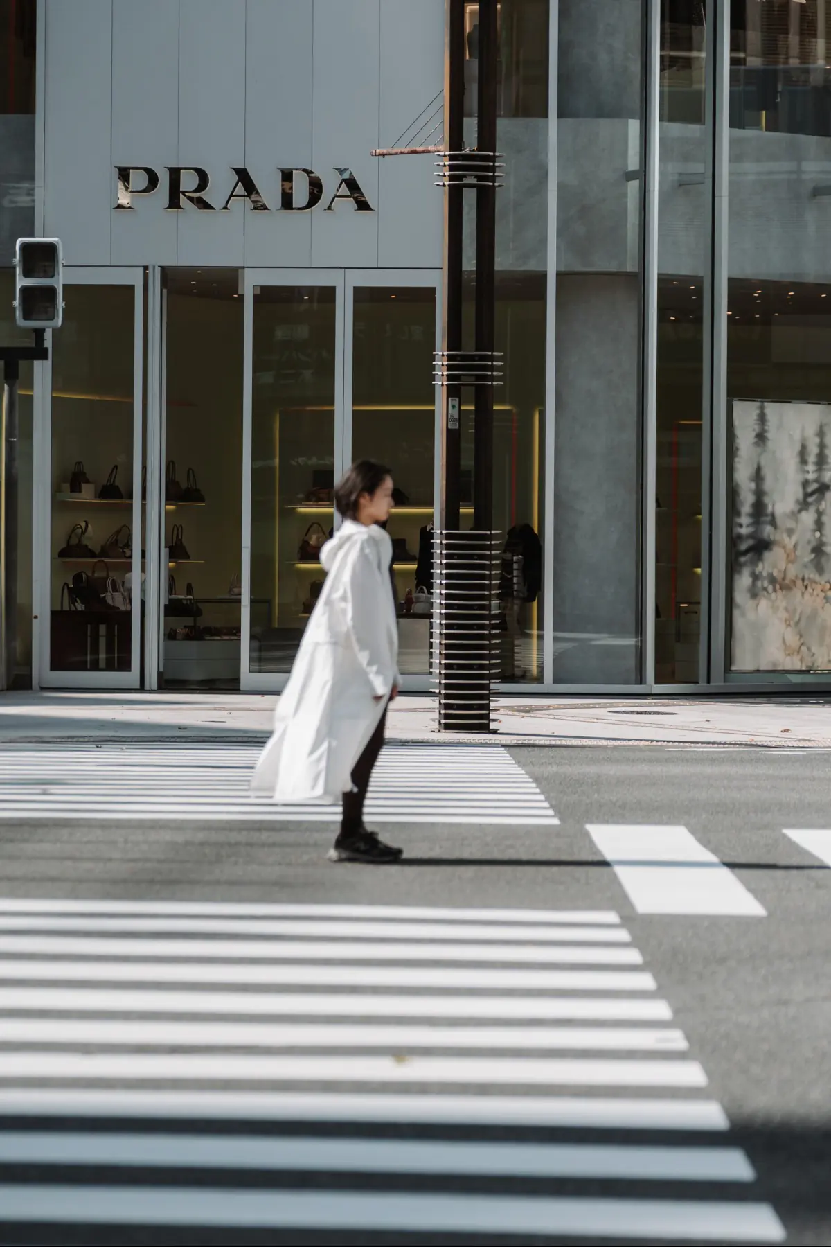 Путешествие в Японию . фото 158