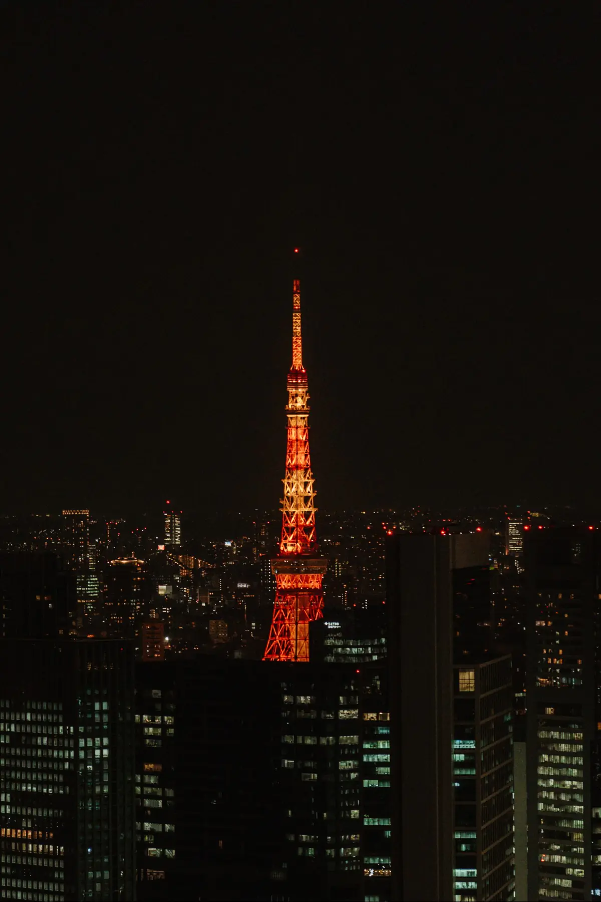 Путешествие в Японию . фото 165