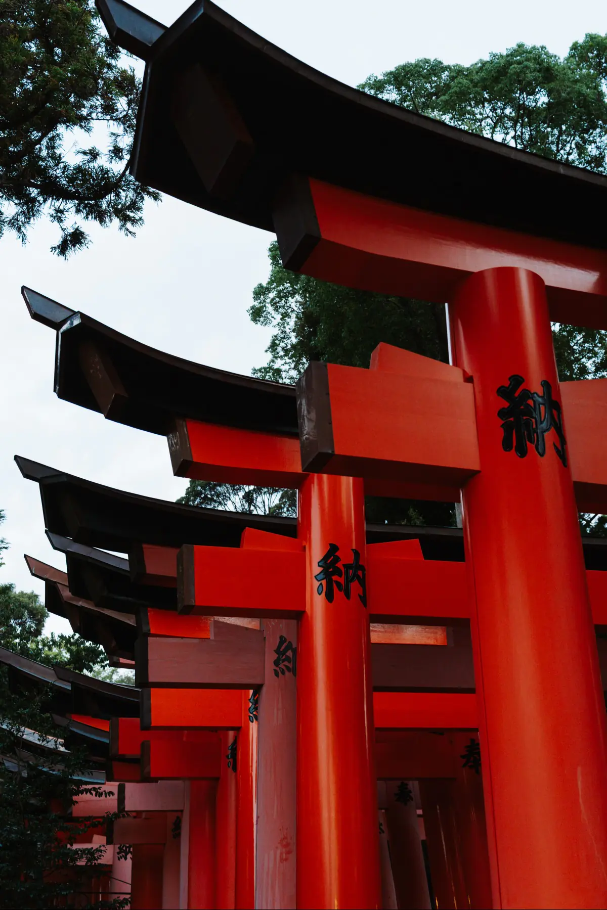 Путешествие в Японию . фото 198