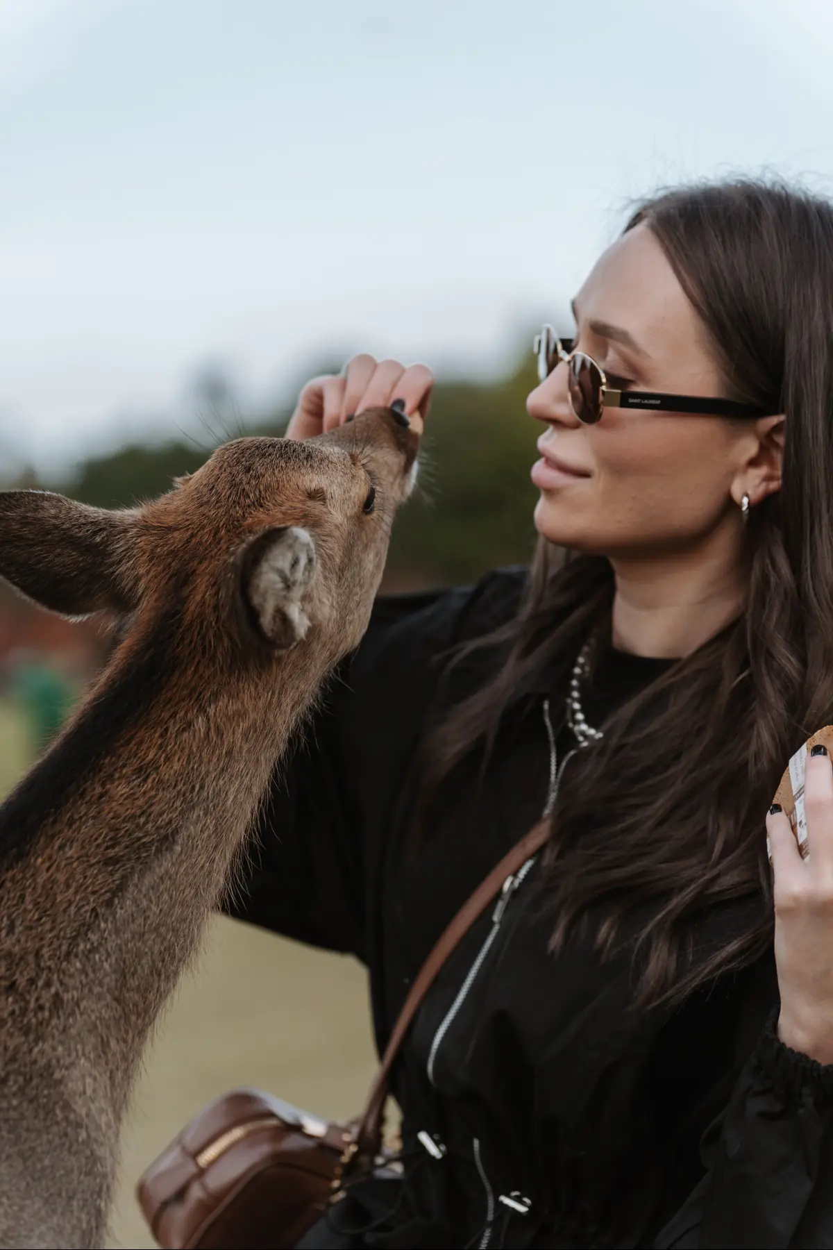 Путешествие в Японию . фото 3