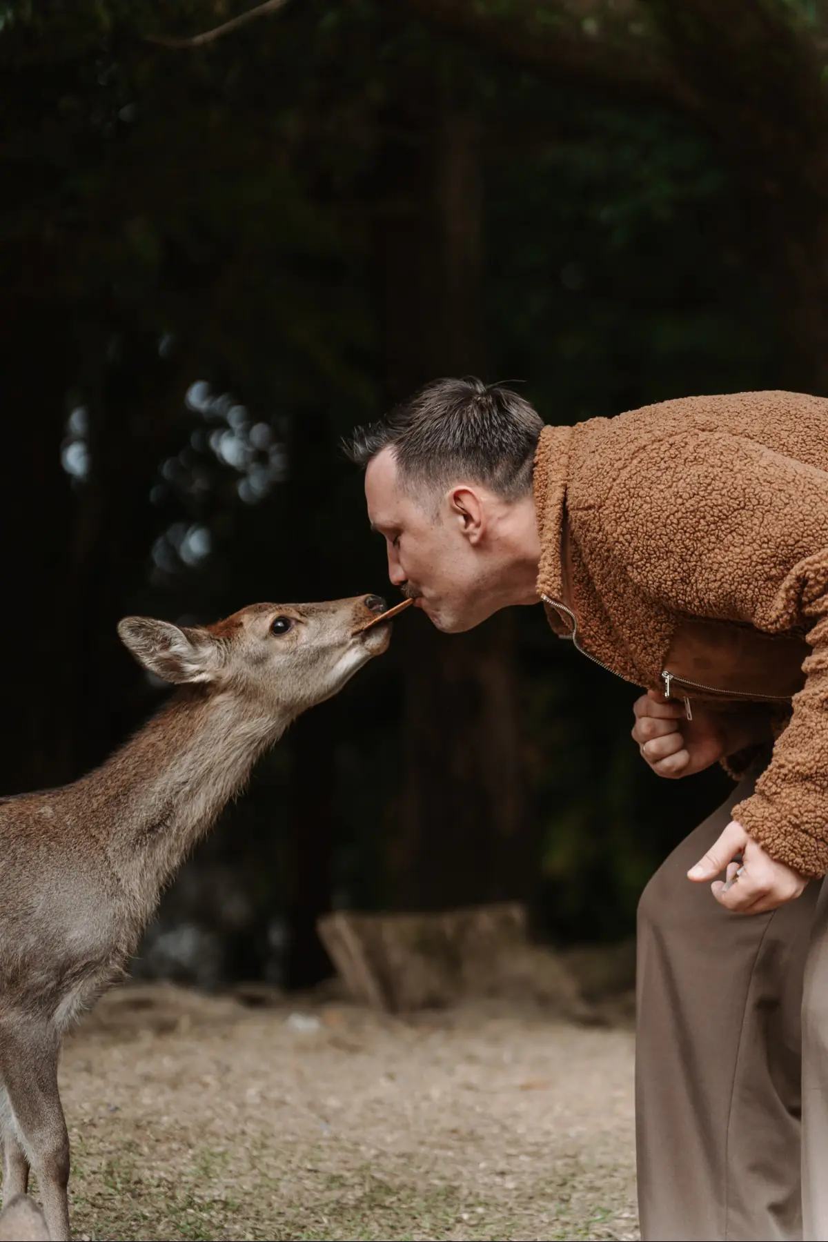 Путешествие в Японию . фото 10