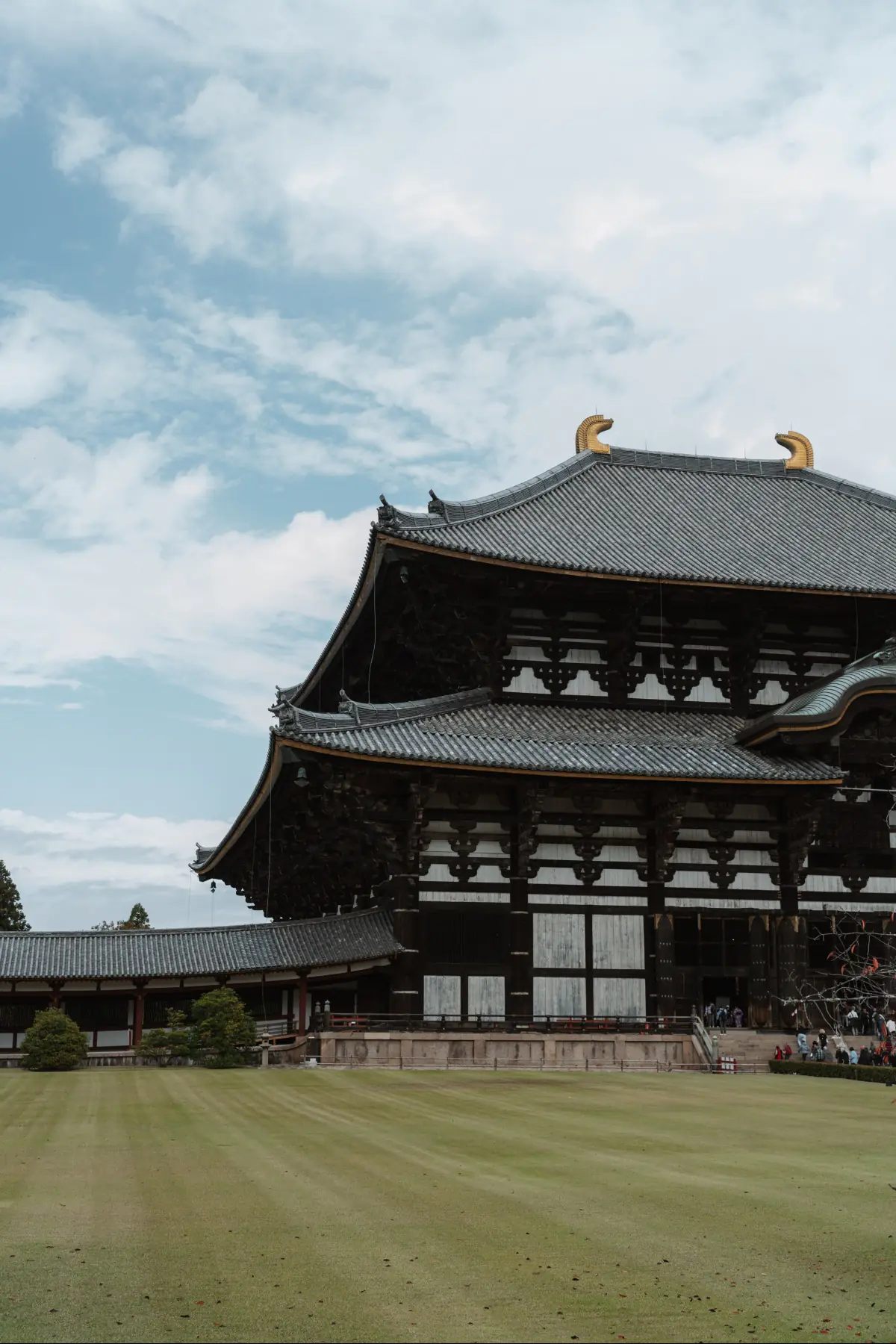 Путешествие в Японию . фото 12