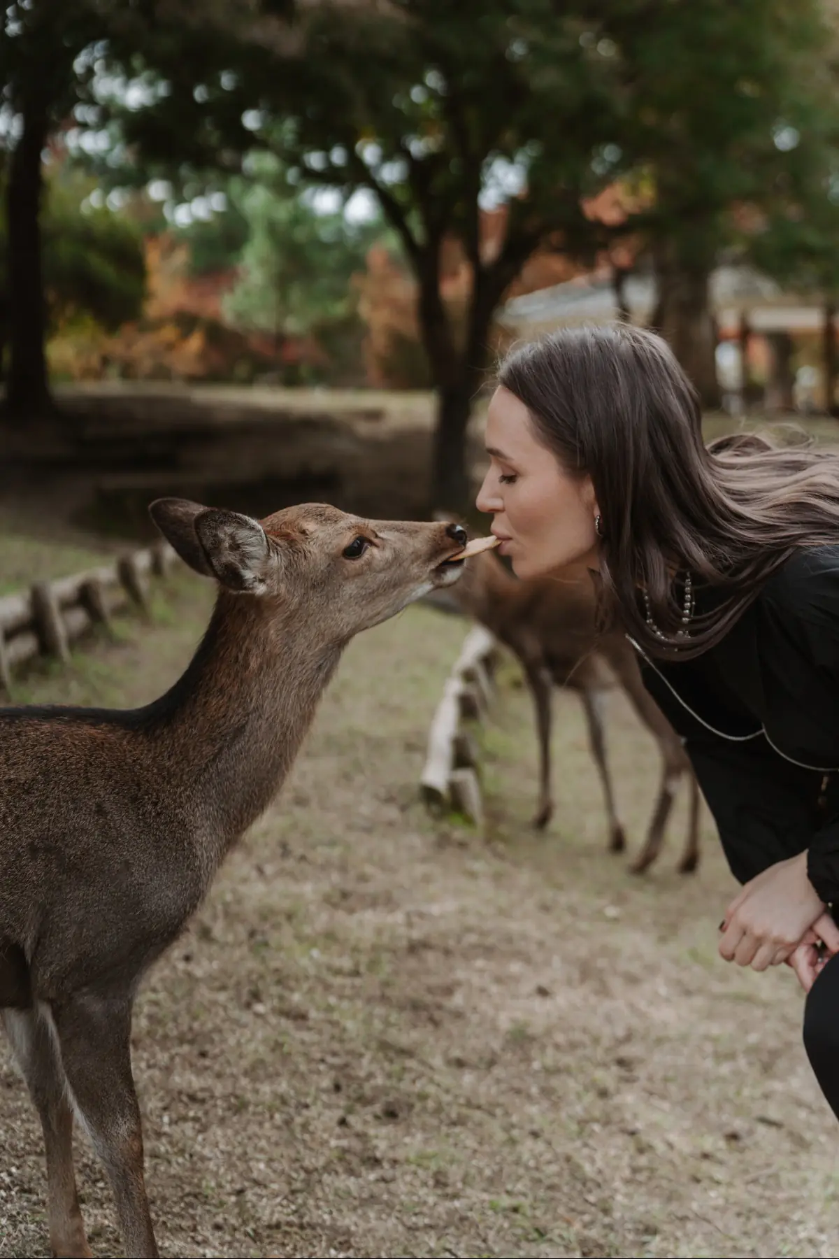 Путешествие в Японию . фото 14