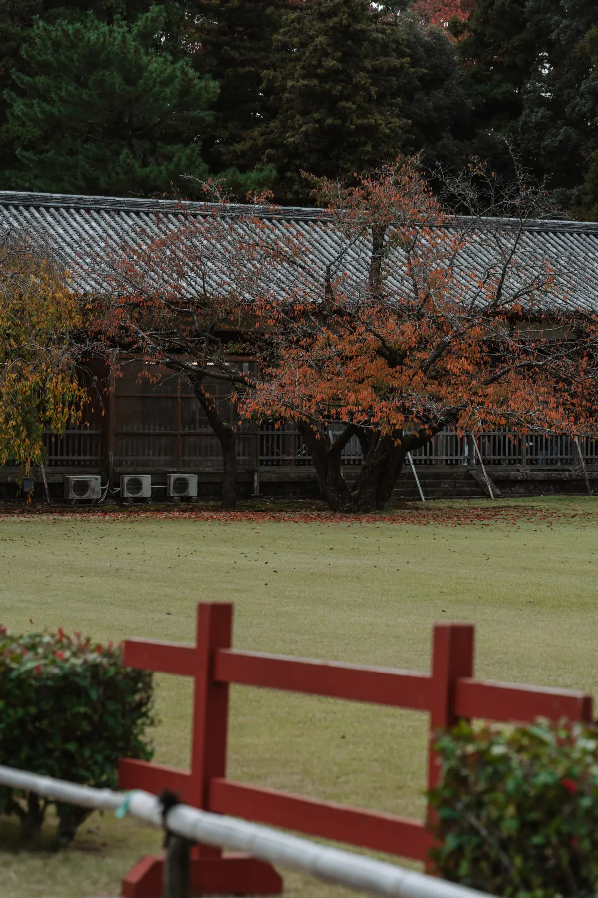 Путешествие в Японию . фото 18