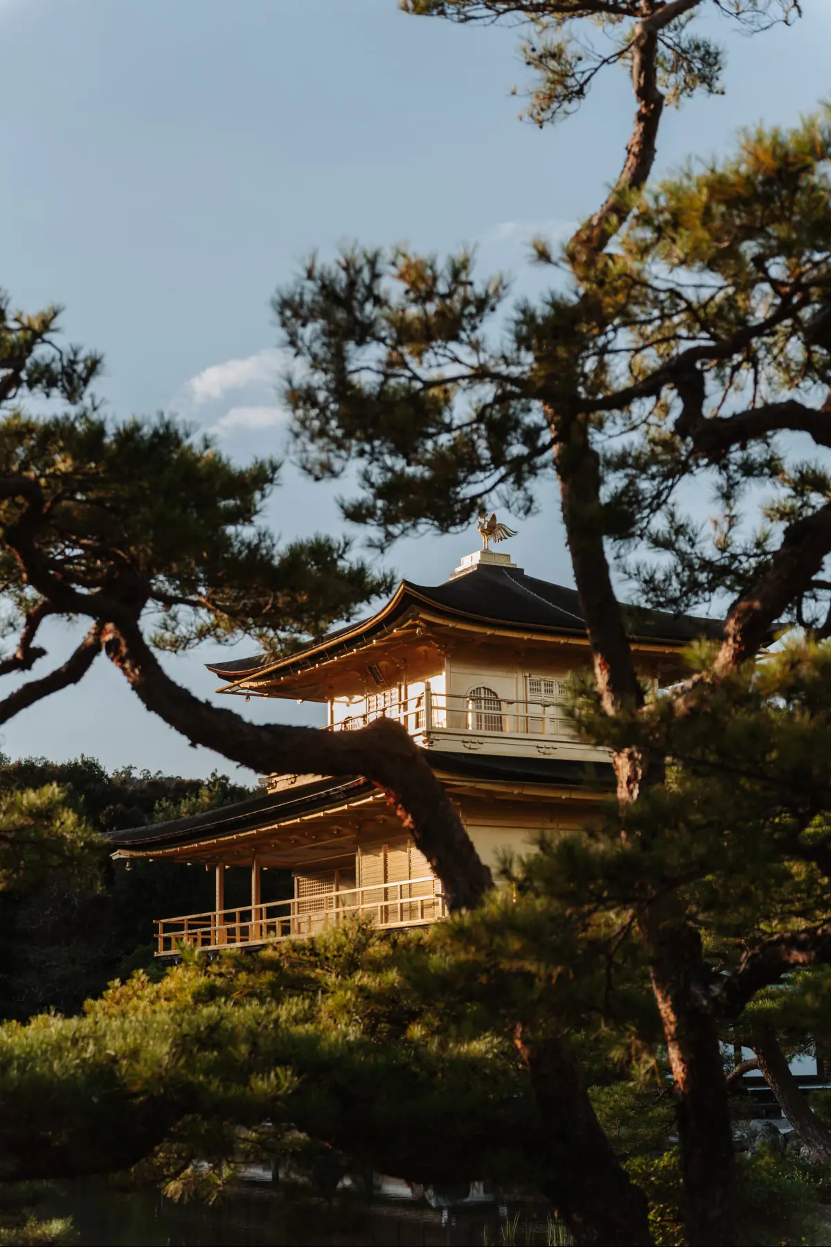 Путешествие в Японию . фото 28