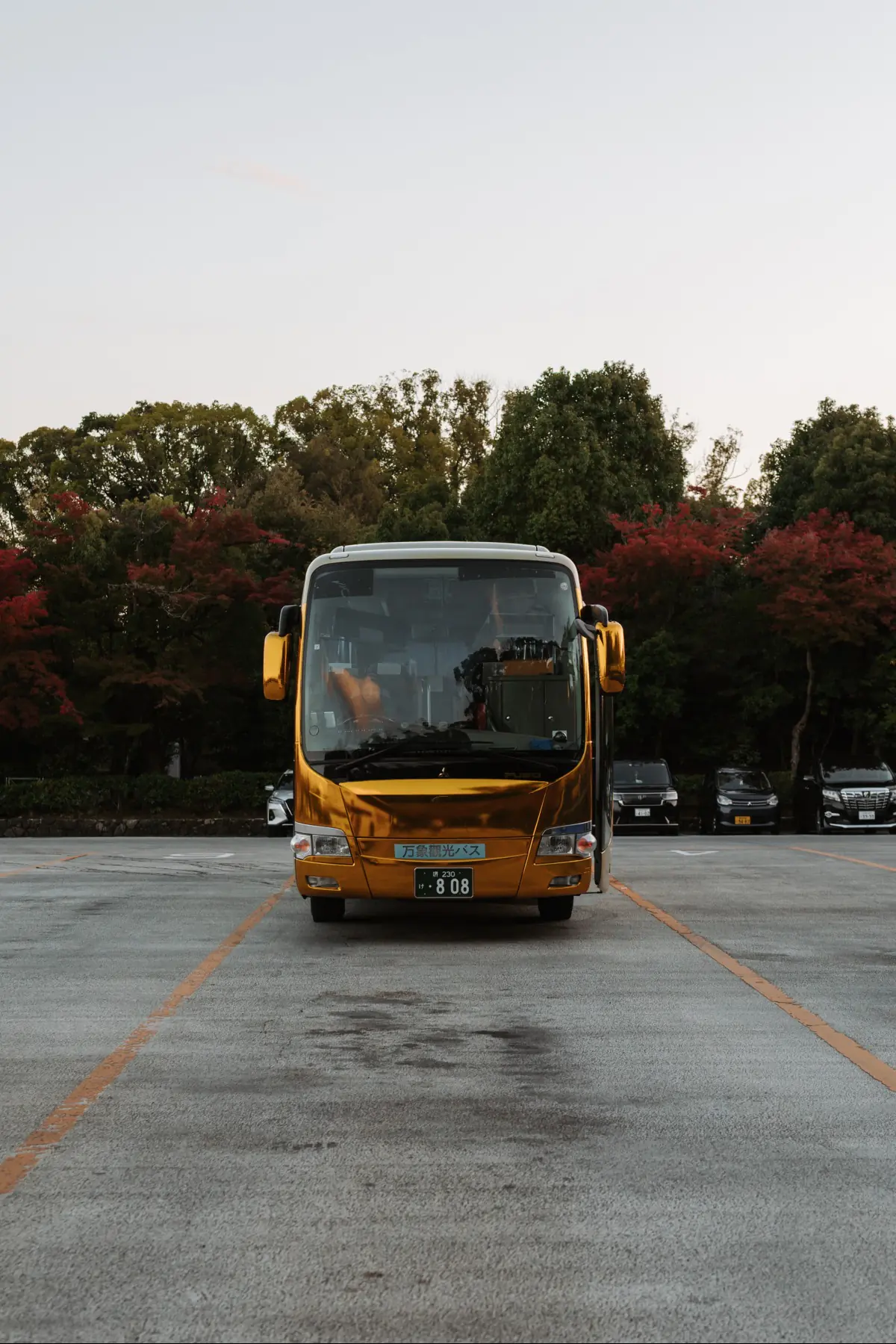 Путешествие в Японию . фото 32