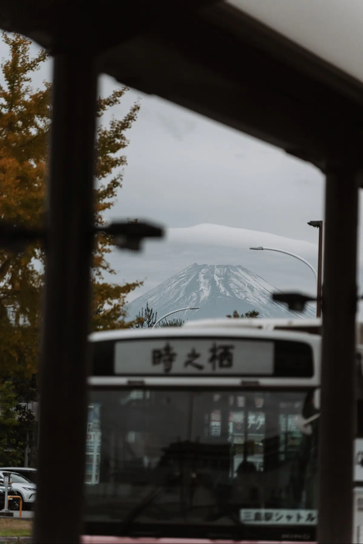 Путешествие в Японию . фото 61