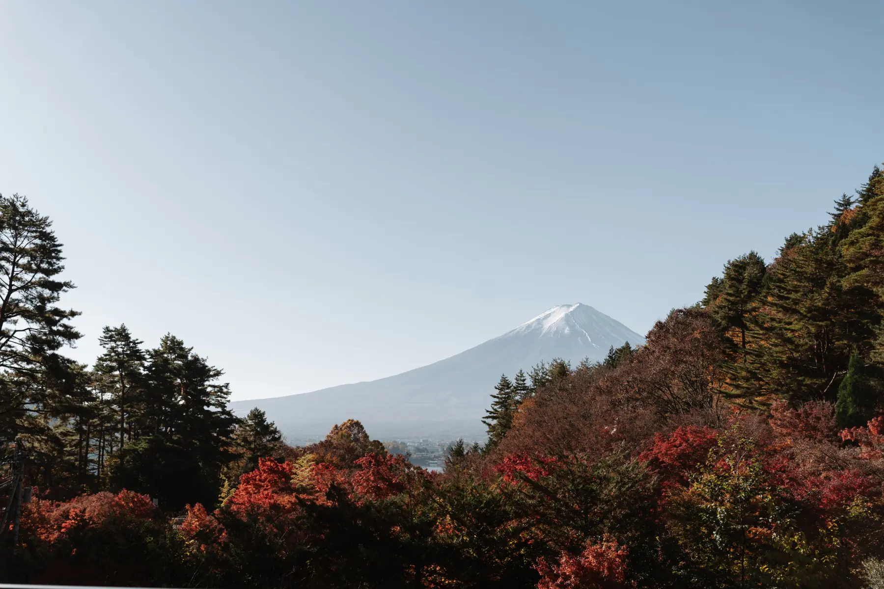 Путешествие в Японию . фото 75