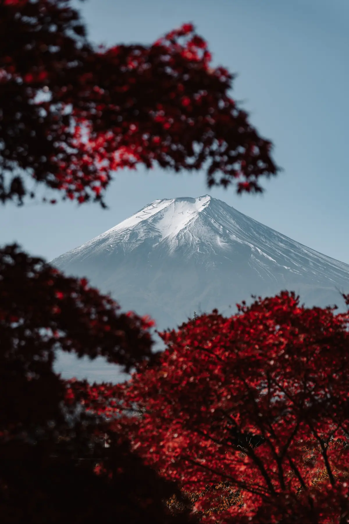 Путешествие в Японию . фото 78