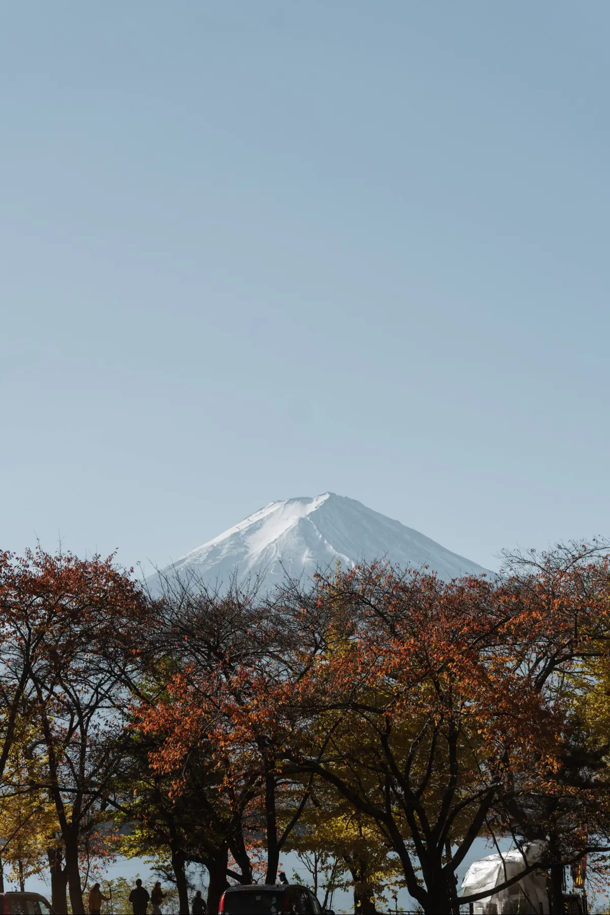 Путешествие в Японию . фото 84