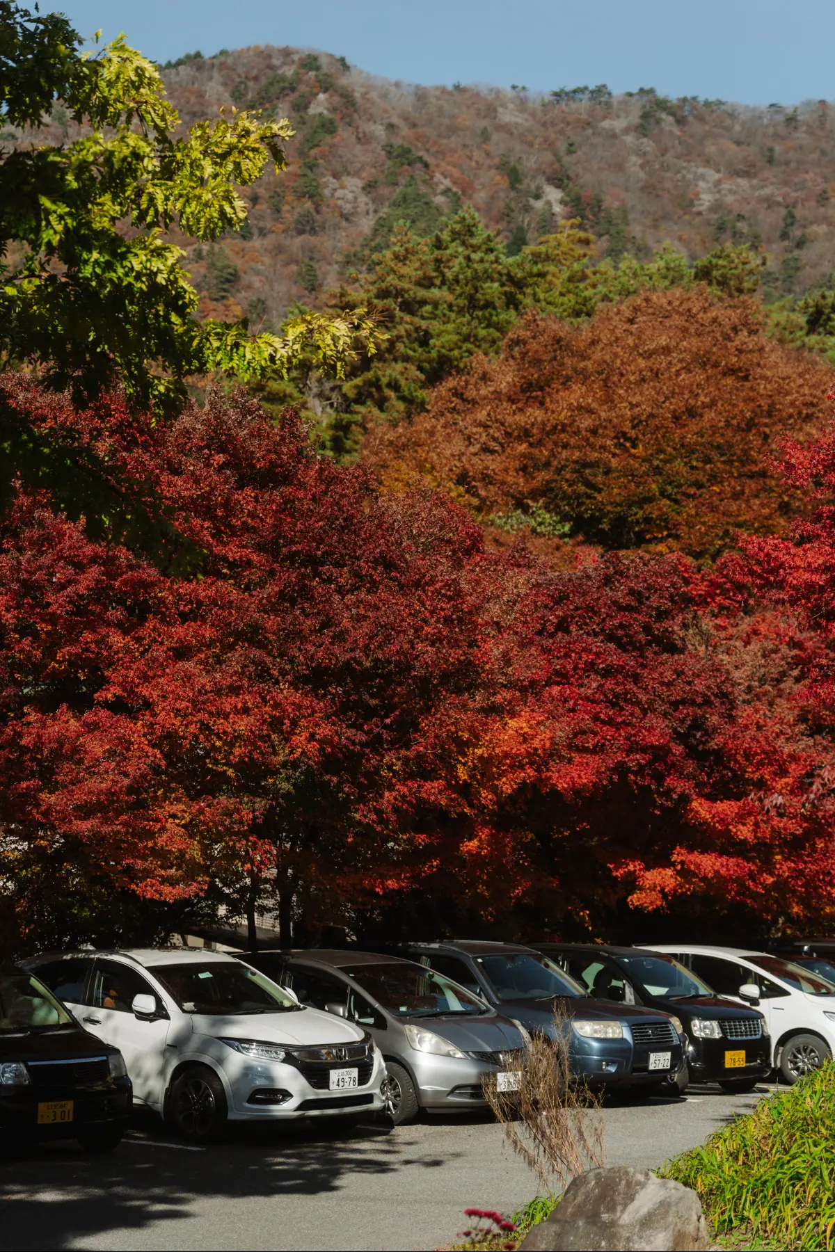 Путешествие в Японию . фото 90