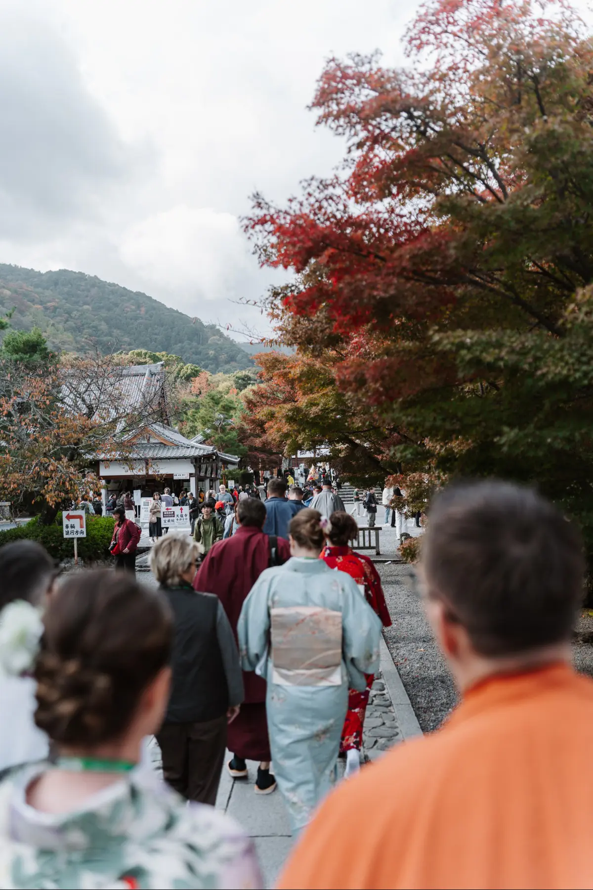 Путешествие в Японию . фото 151