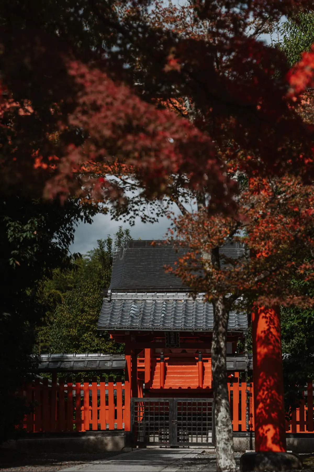 Путешествие в Японию . фото 157