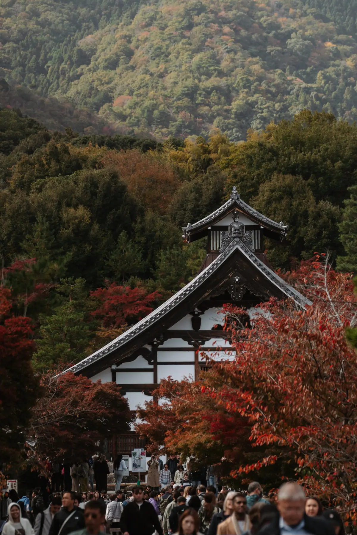 Путешествие в Японию . фото 159