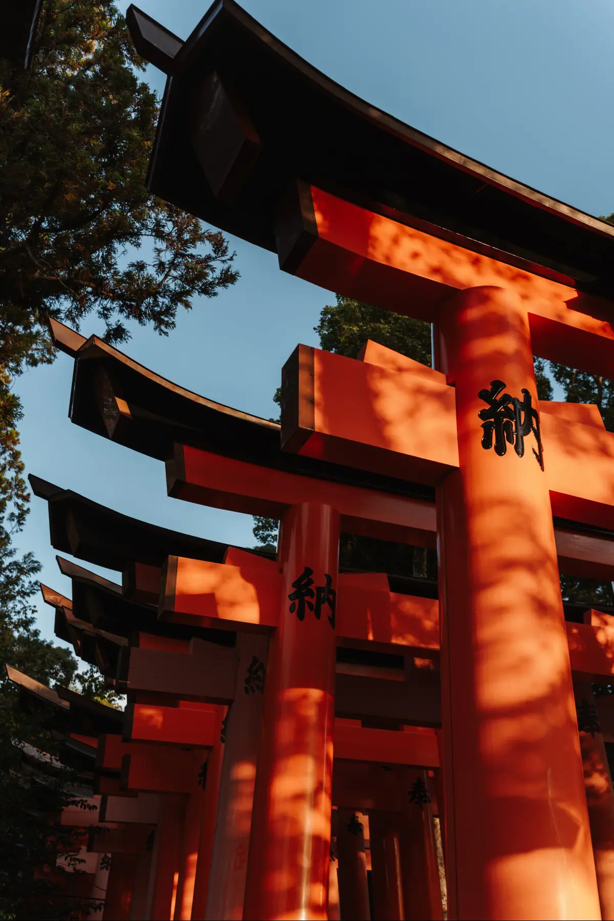 Путешествие в Японию . фото 171