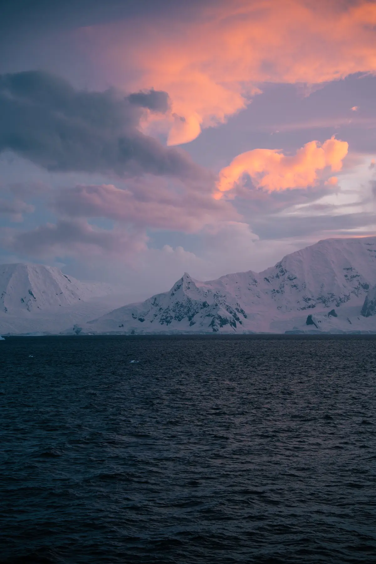 Антарктида 2026. фото 5