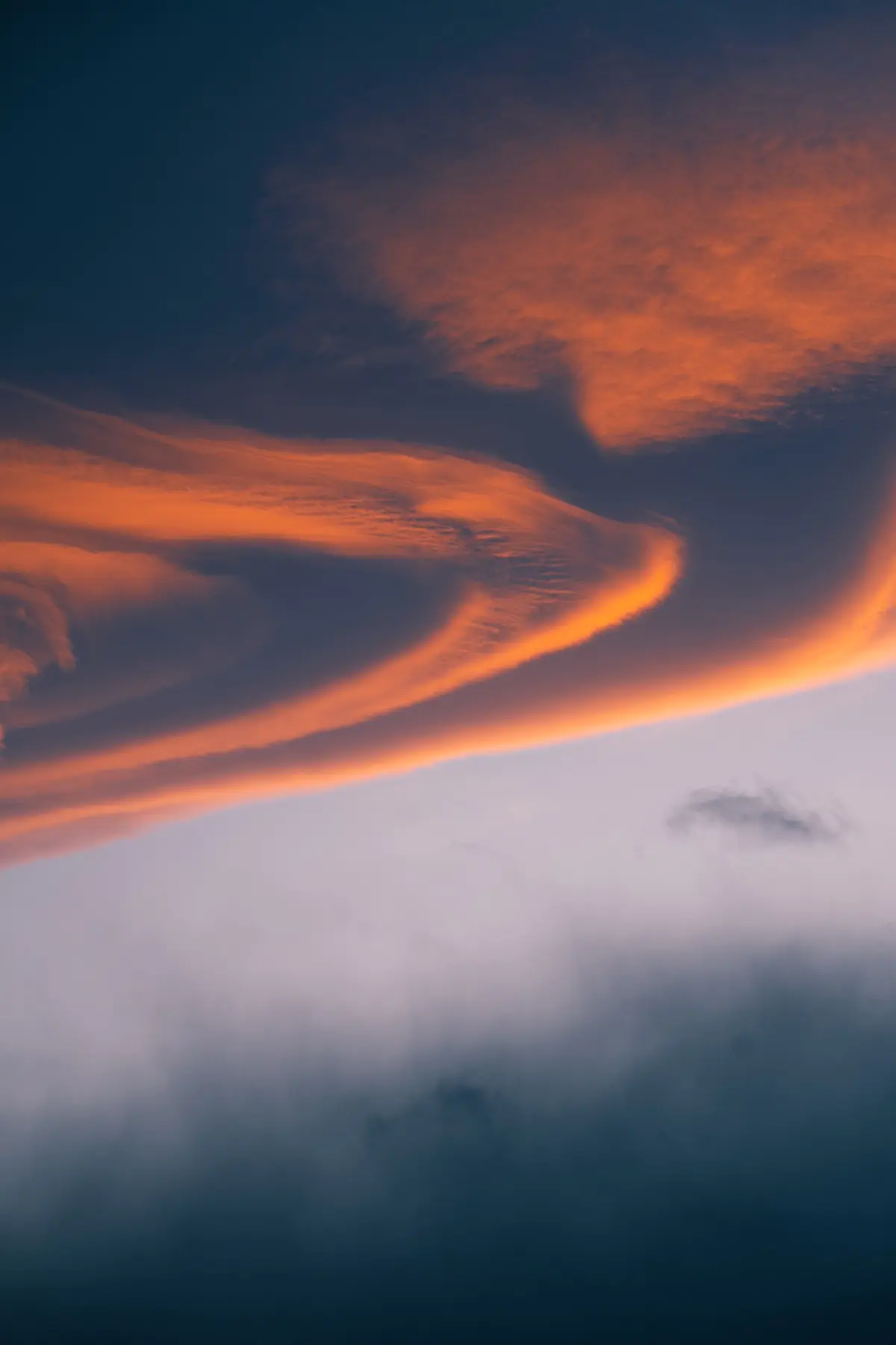 Антарктида 2026. фото 6