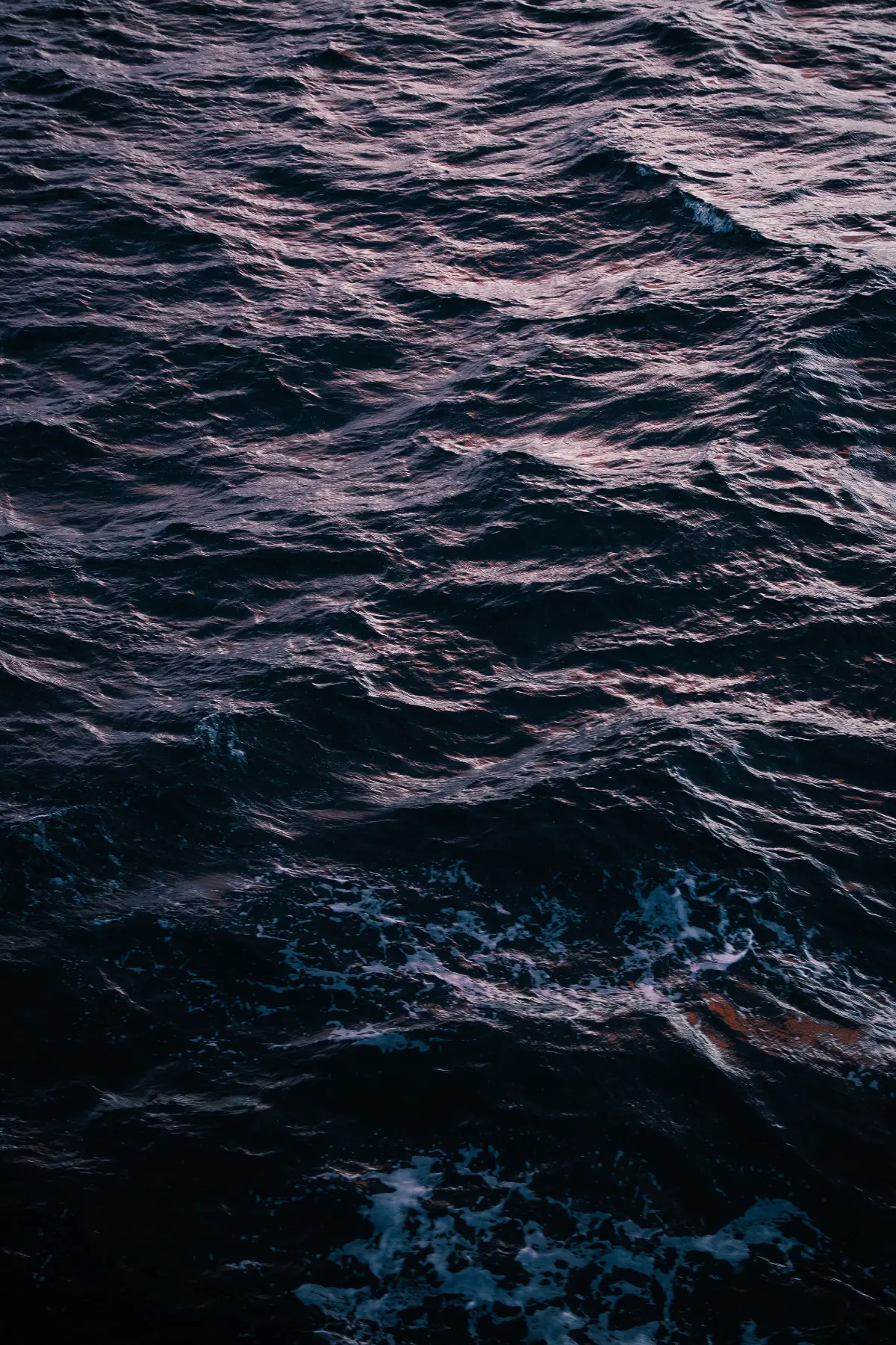 Антарктида 2026. фото 7