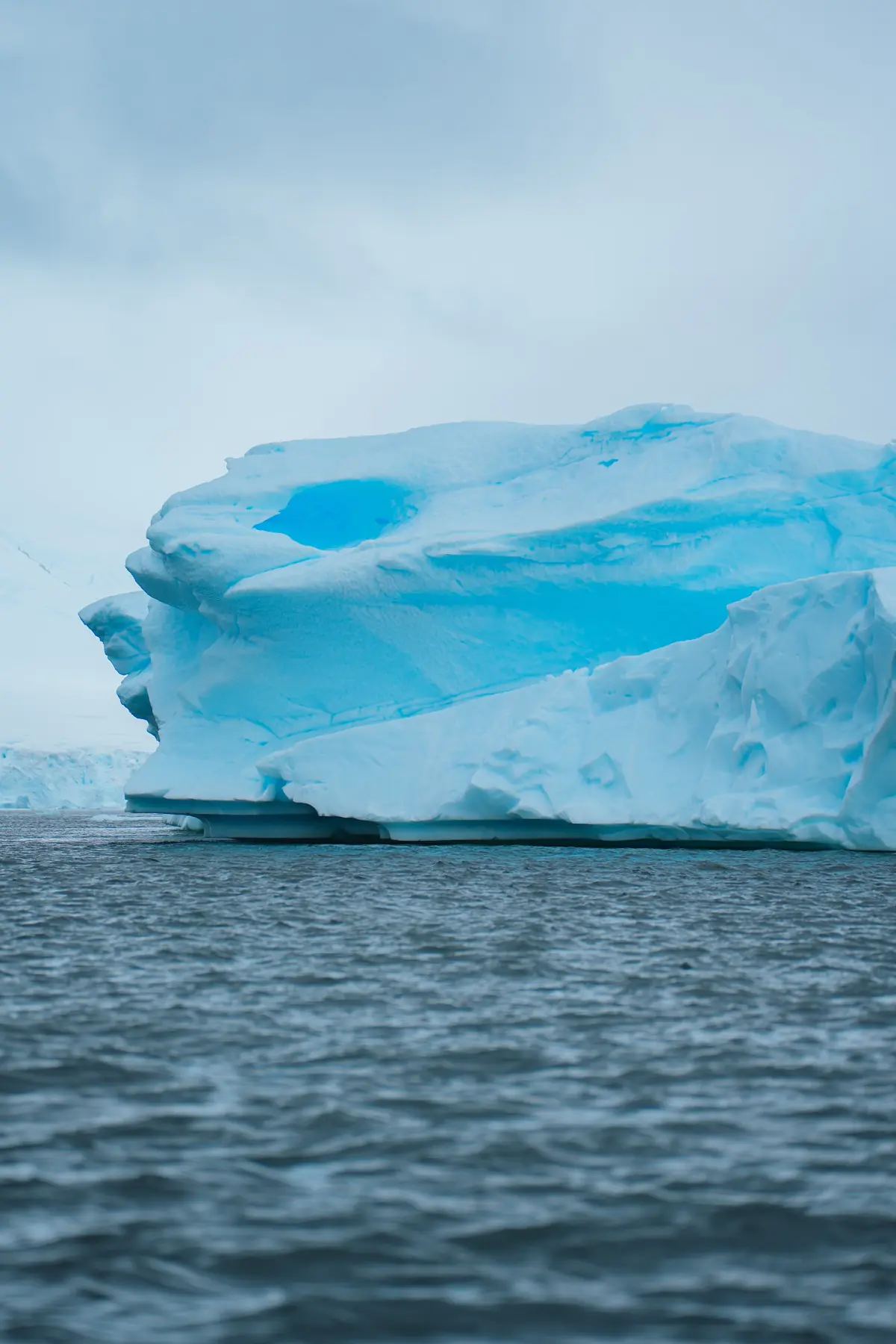 Антарктида 2026. фото 15