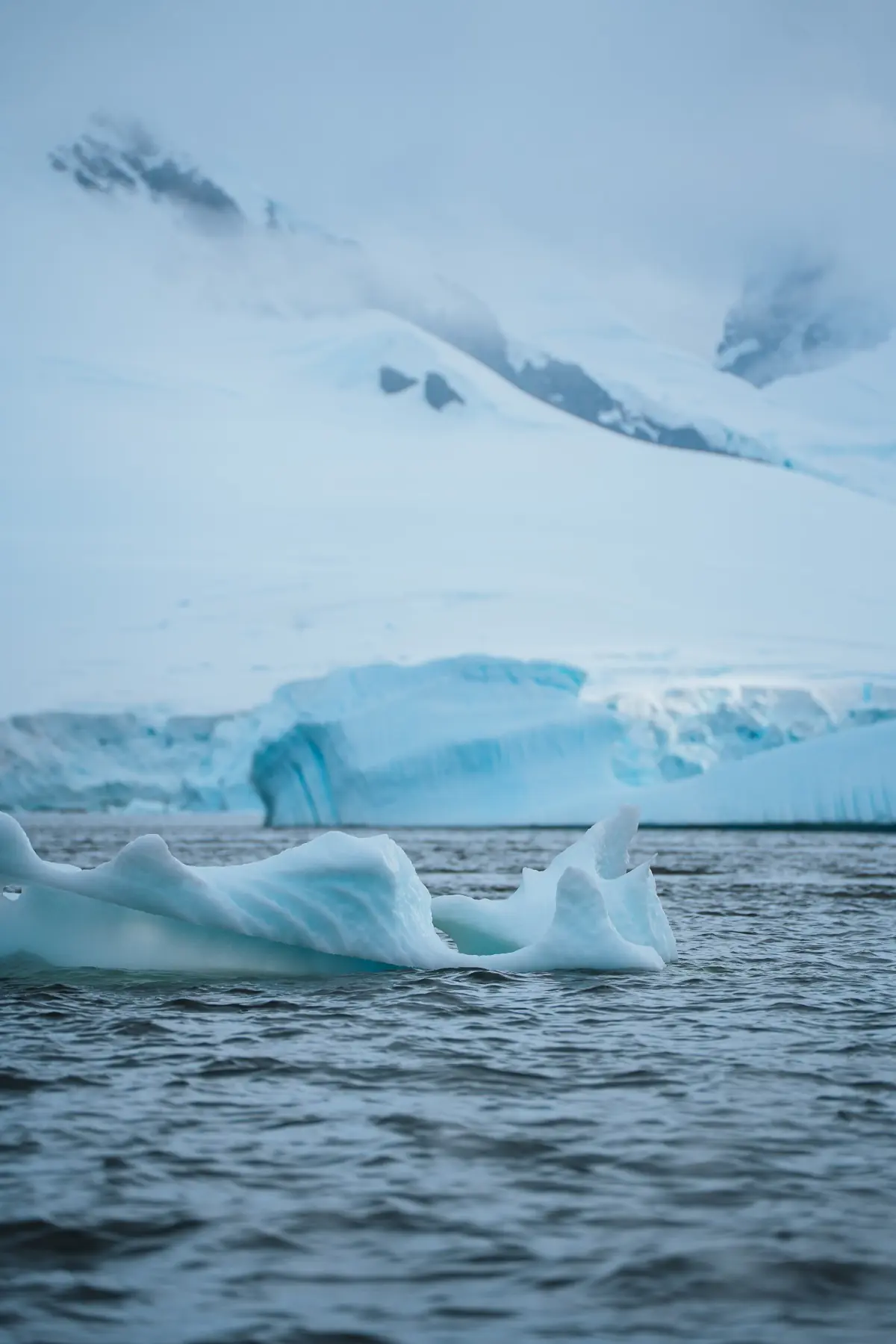 Антарктида 2026. фото 16