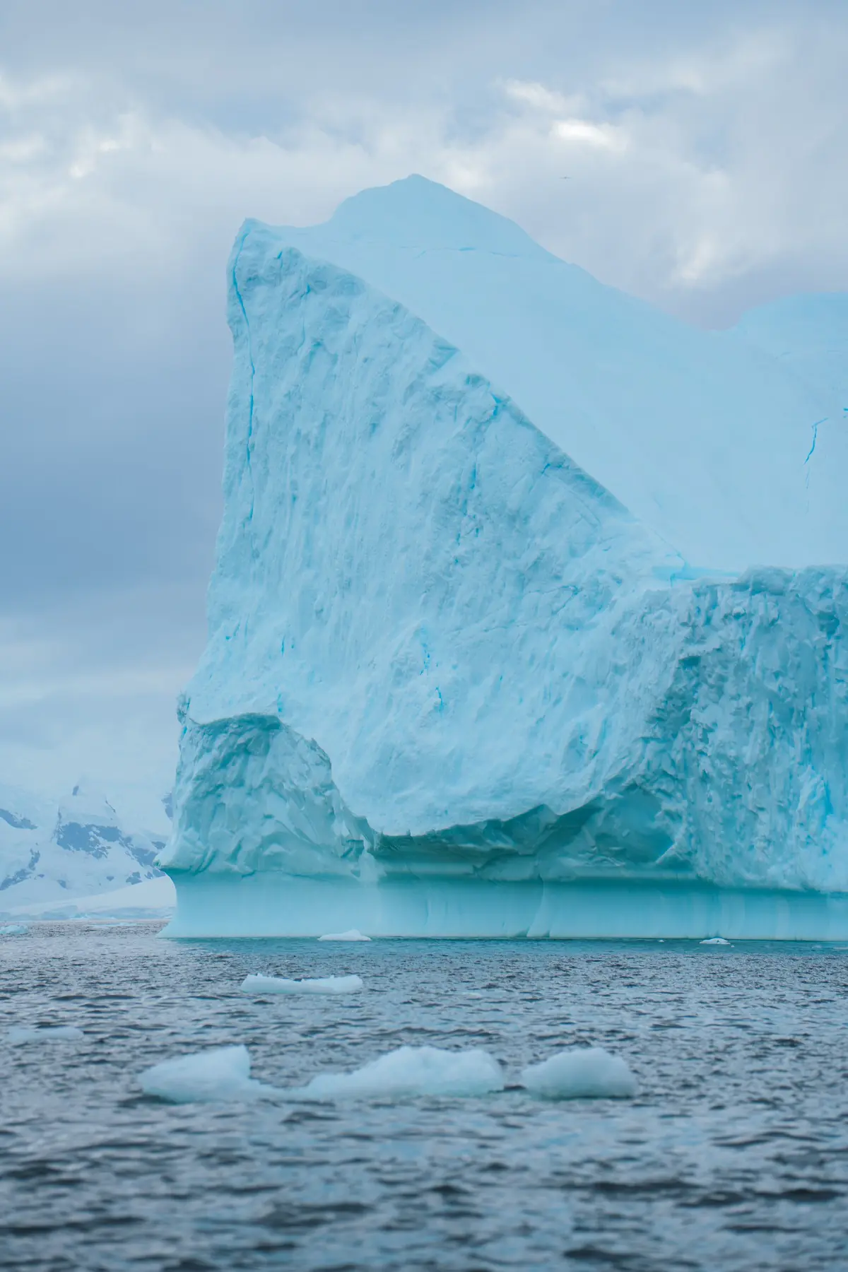 Антарктида 2026. фото 17