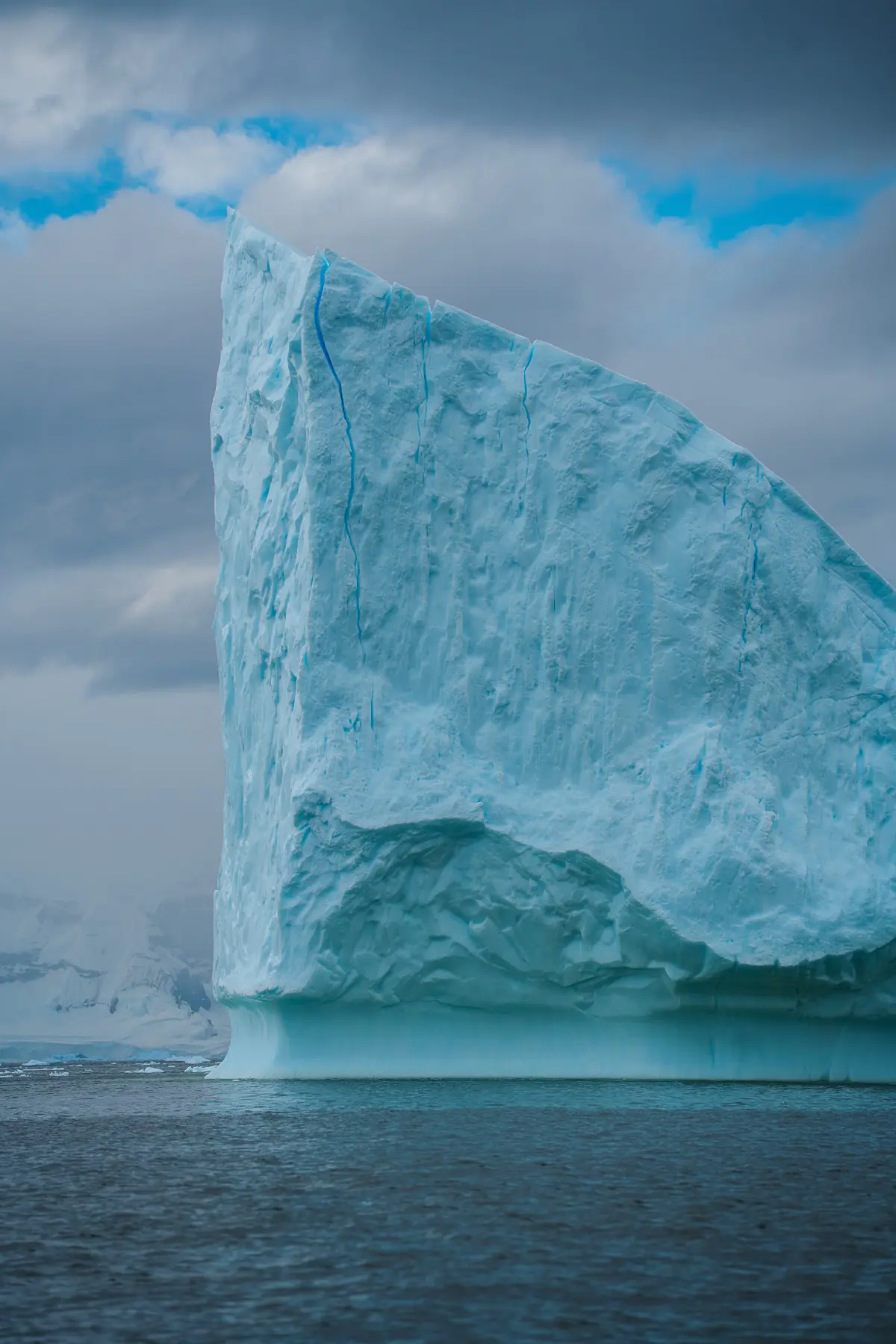 Антарктида 2026. фото 19