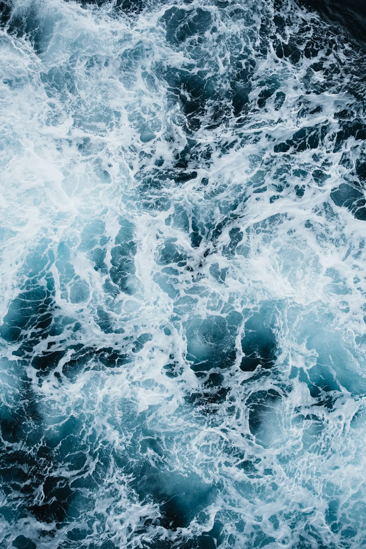 Антарктида 2026. фото 28