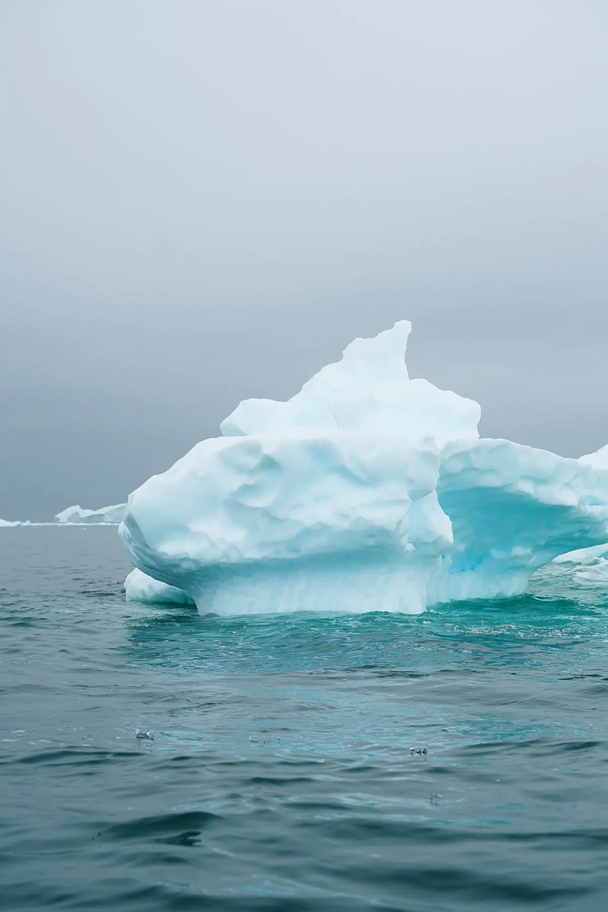 Антарктида 2026. фото 43