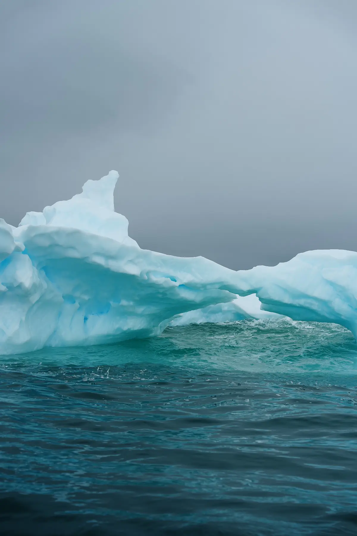 Антарктида 2026. фото 56