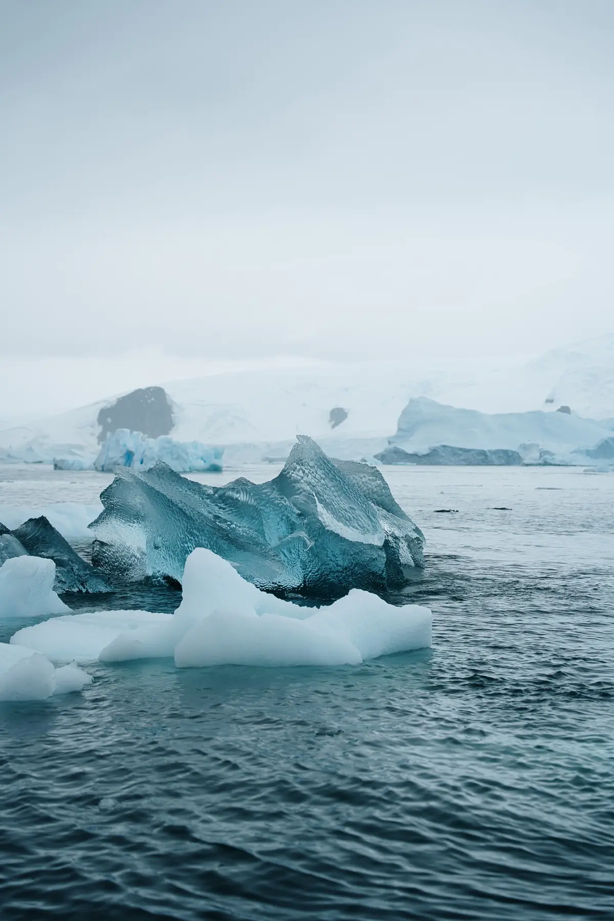 Антарктида 2026. фото 58