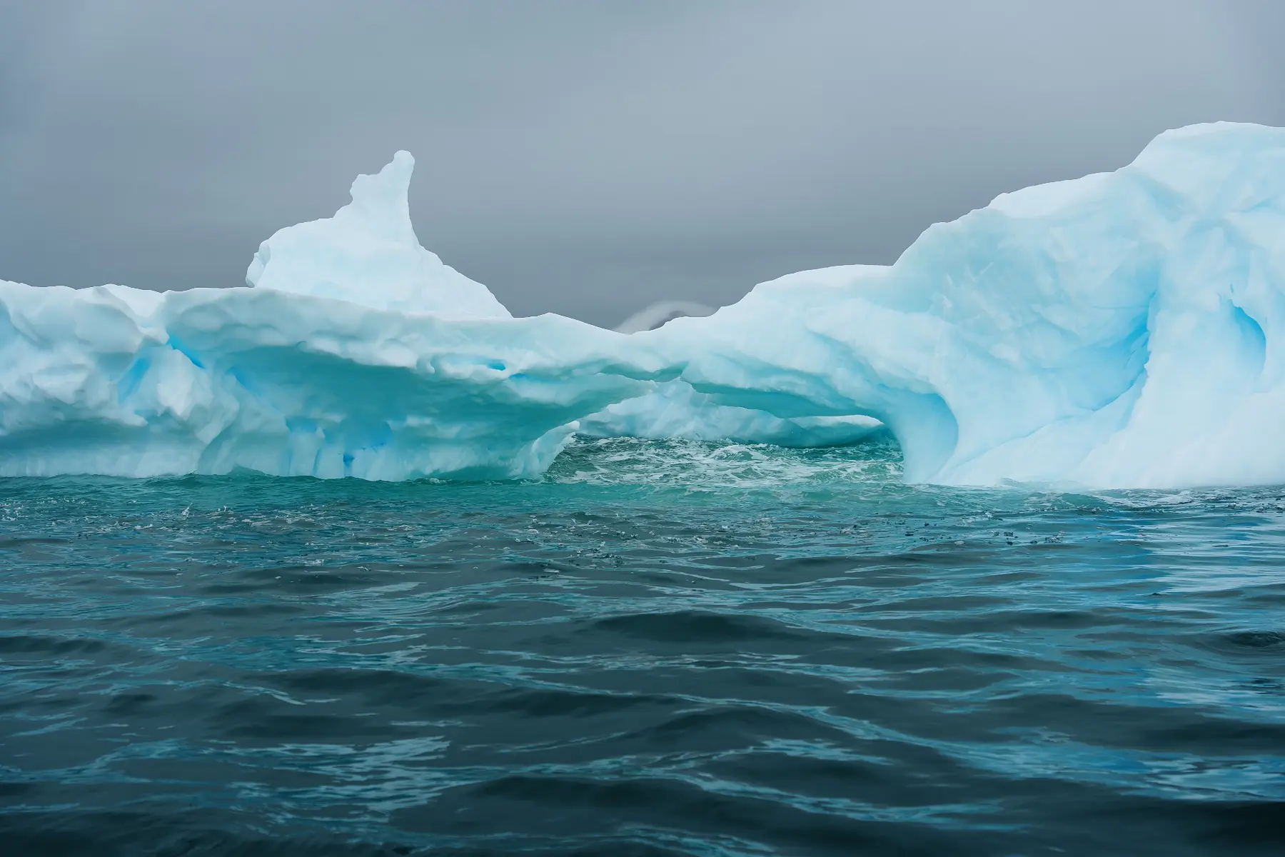 Антарктида 2026. фото 59