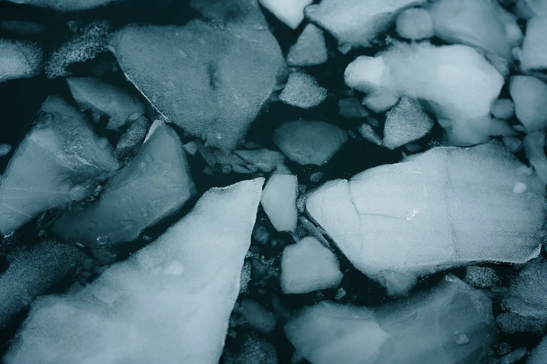 Антарктида 2026. фото 60